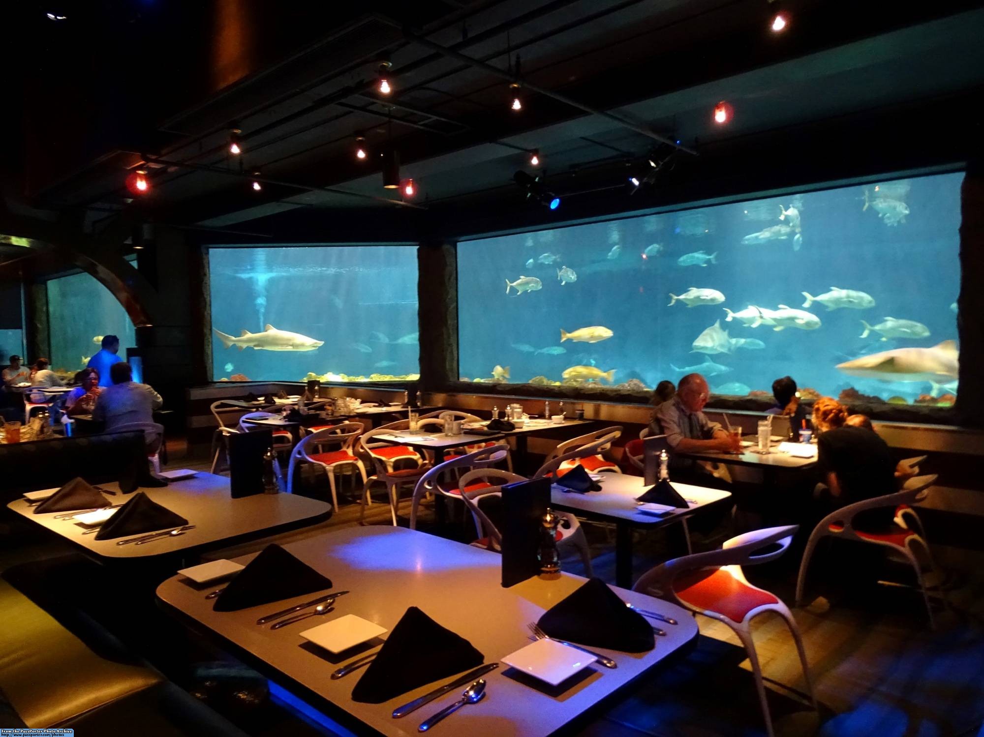 SeaWorld Orlando - Sharks Underwater Grill