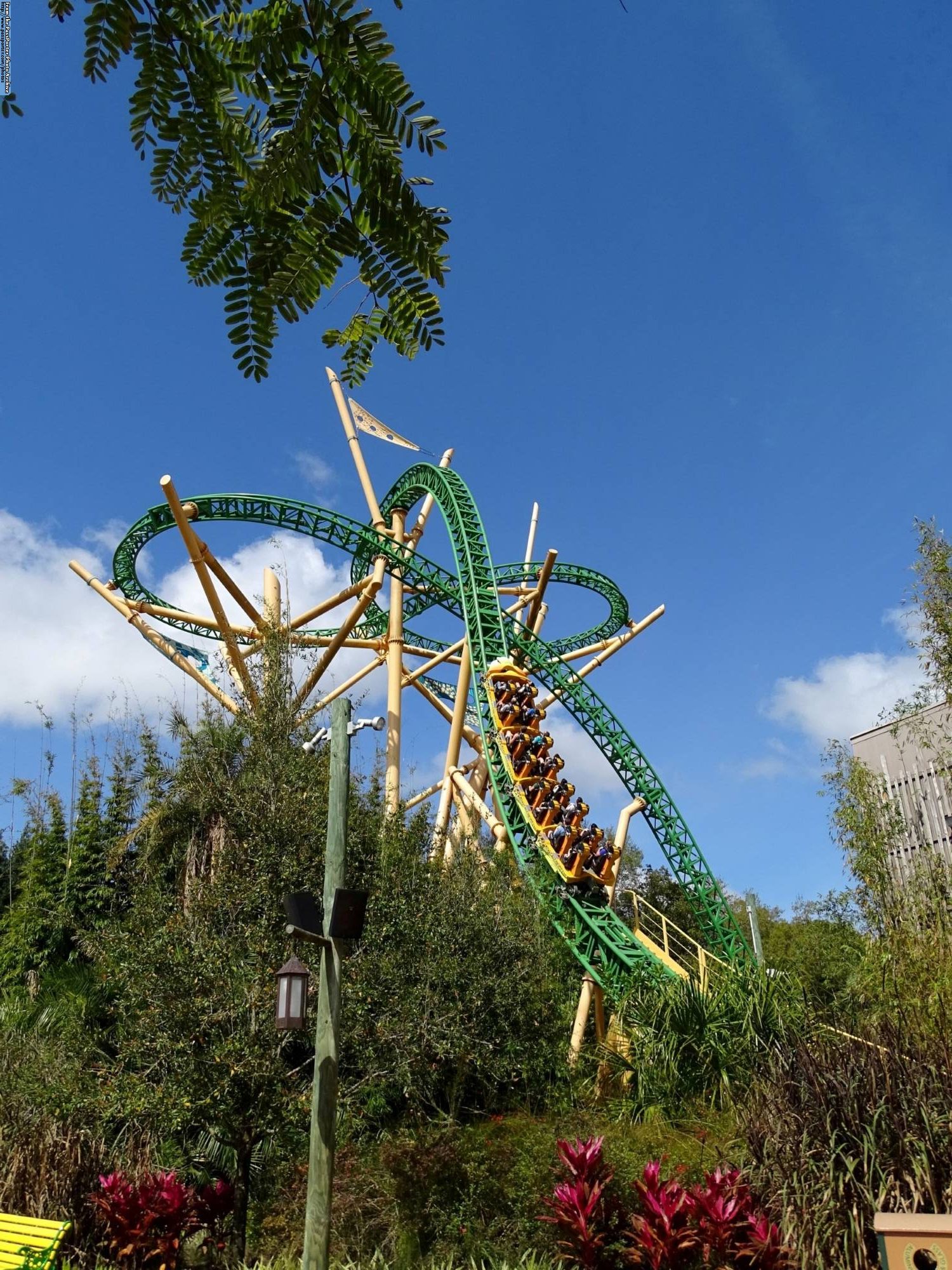 Busch Gardens - Cheetah Hunt