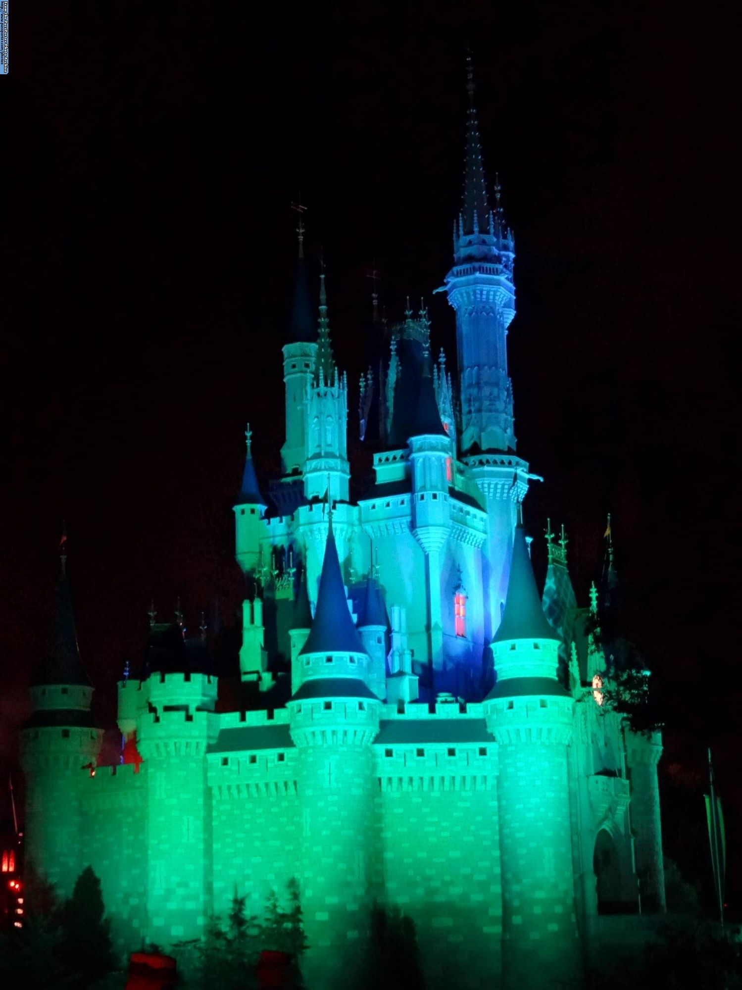 Magic Kingdom - Cinderella Castle at night