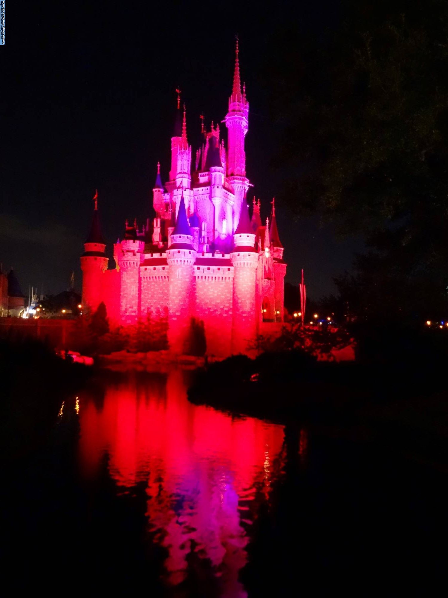 Magic Kingdom - Cinderella Castle at night