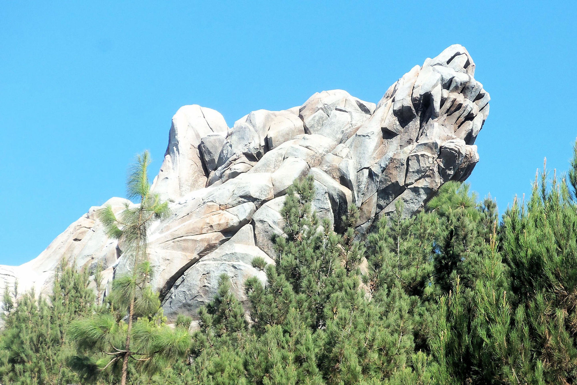 California Adventure--Grizzly Peak