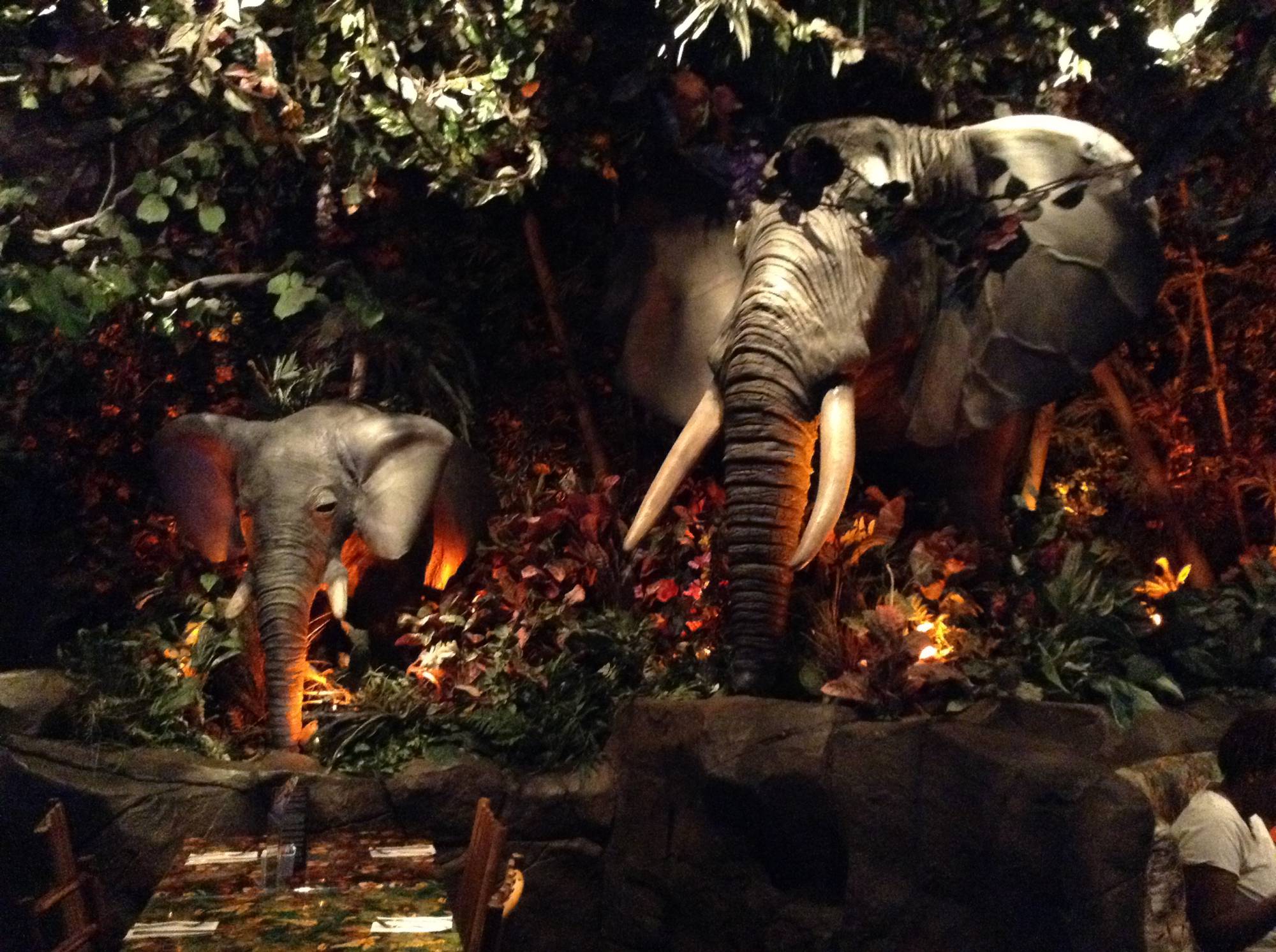 Galveston Rainforest Cafe