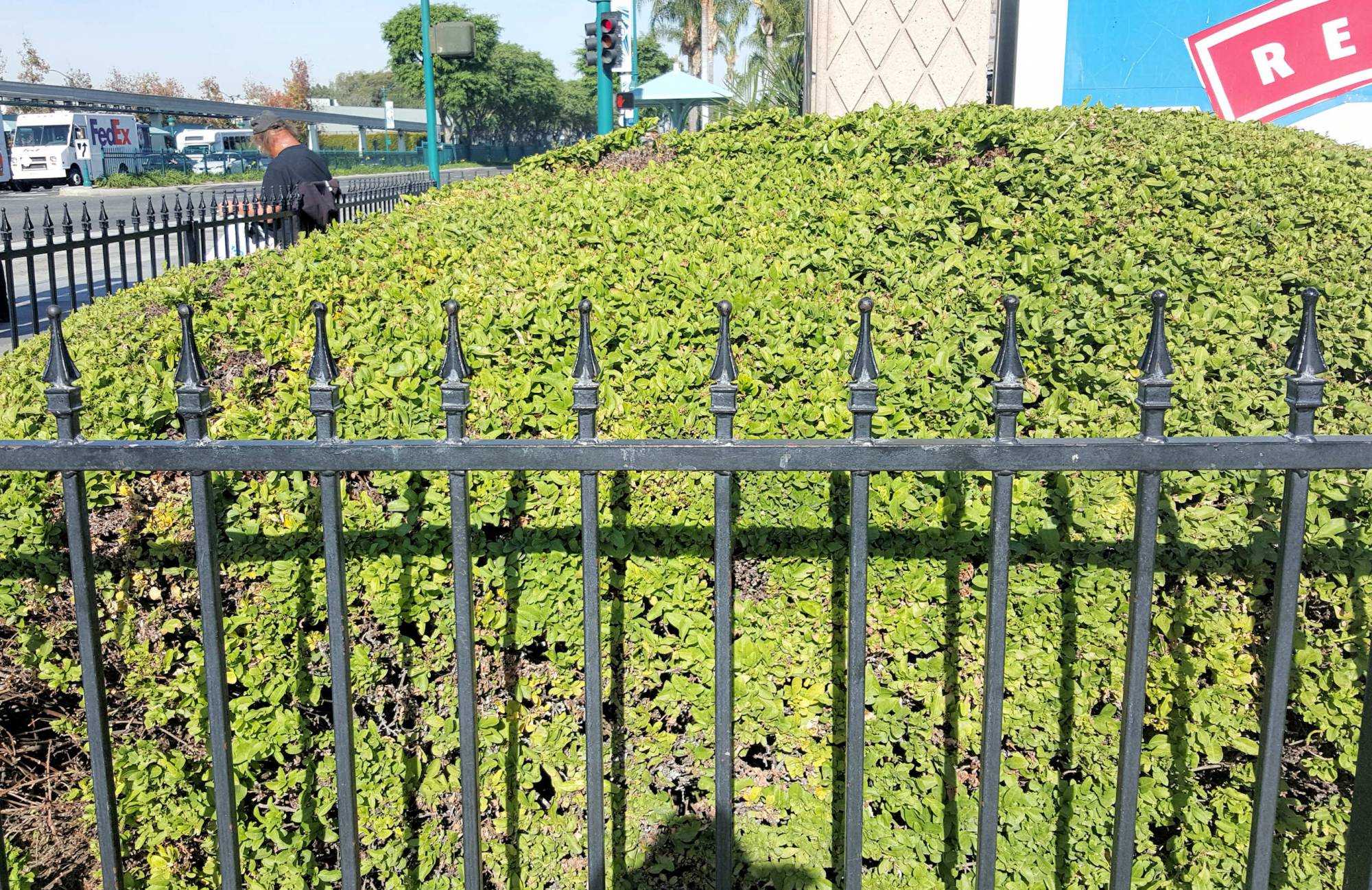 Disneyland wrought iron fence