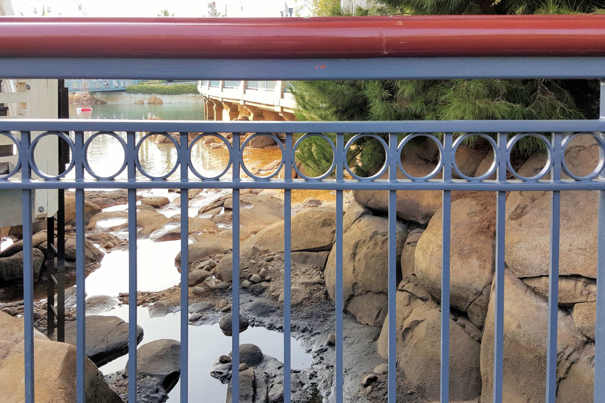 Disneyland fence and water