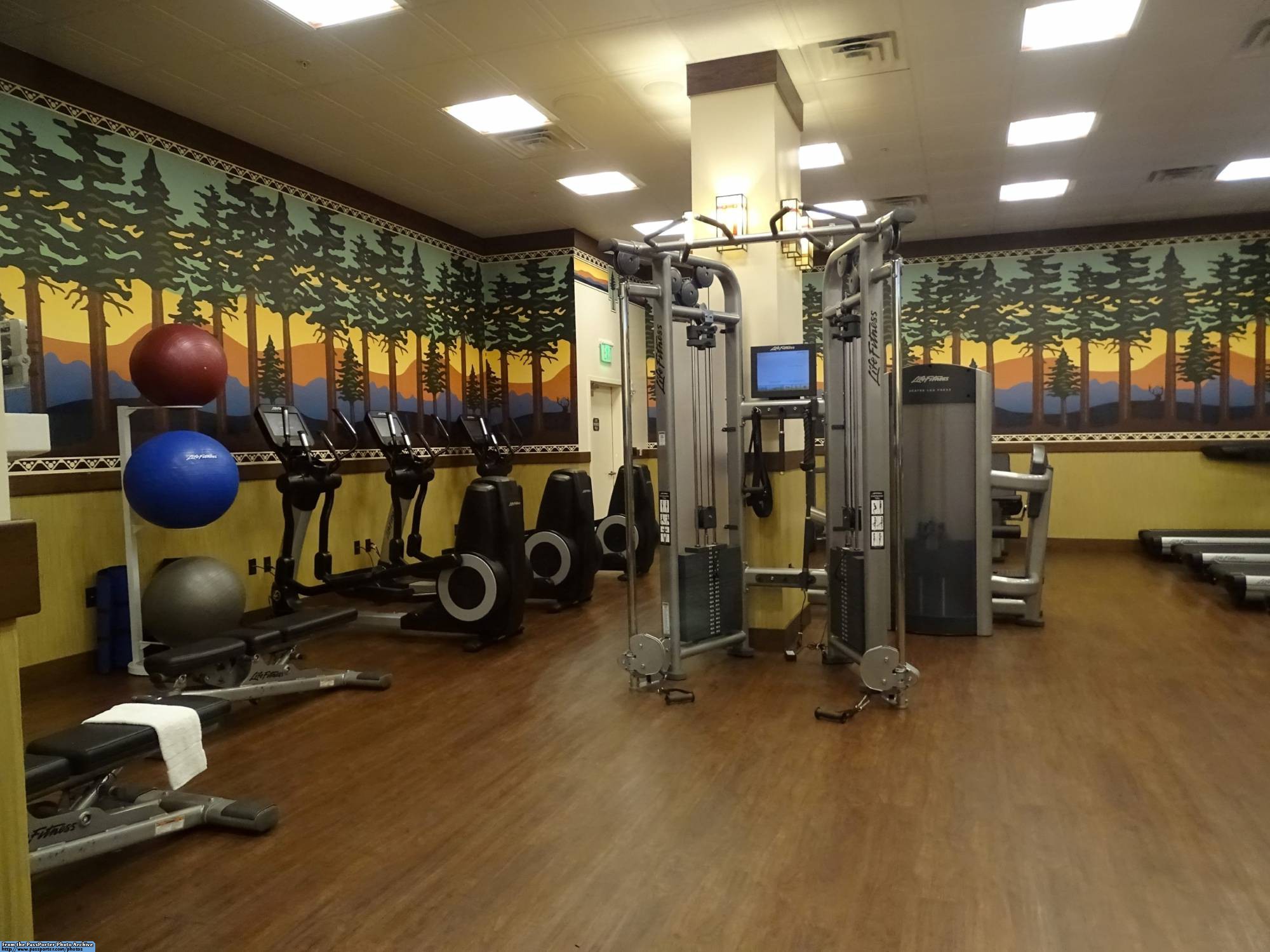Grand Californian - fitness center