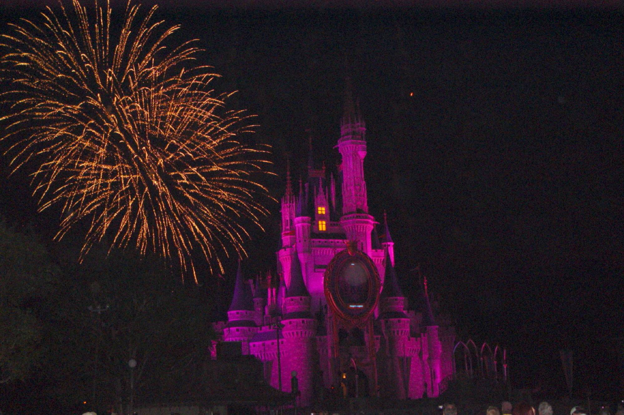 Magic Kingdom - Fireworks - Cinderella Castle