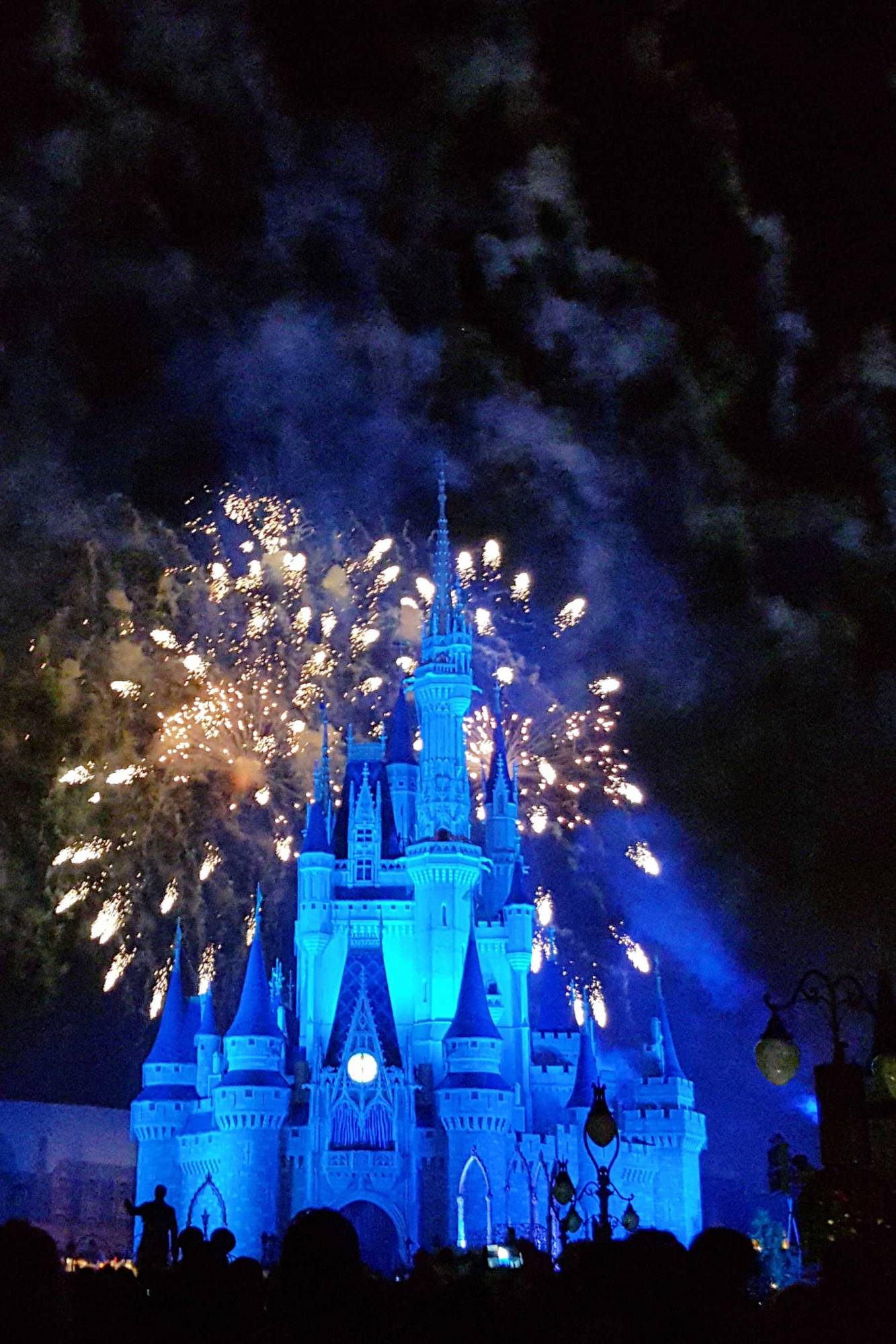 Walt Disney World Magic Kingdom Wishes Fireworks over the Castle