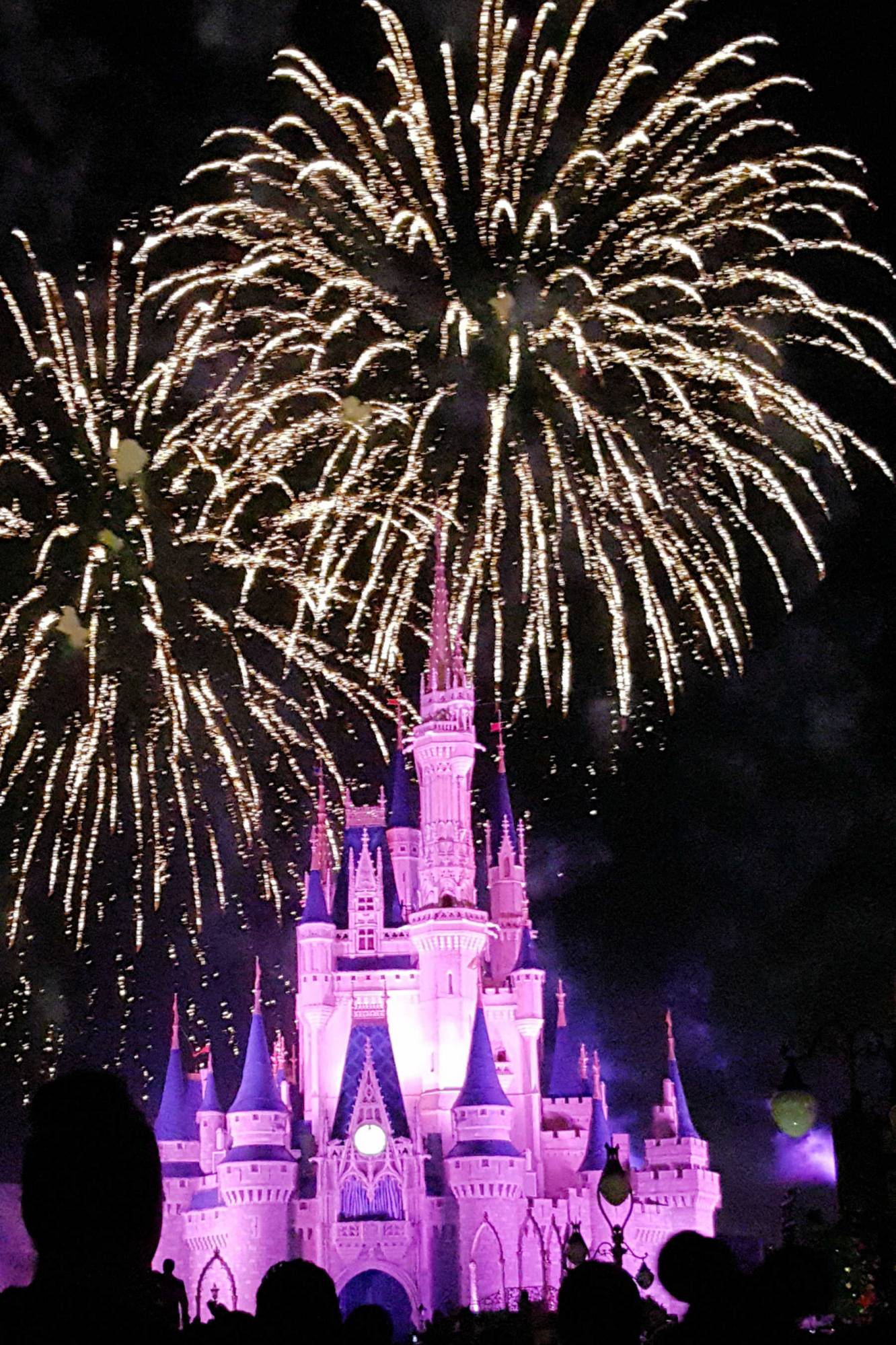 Walt Disney World Magic Kingdom Wishes Fireworks over the castle