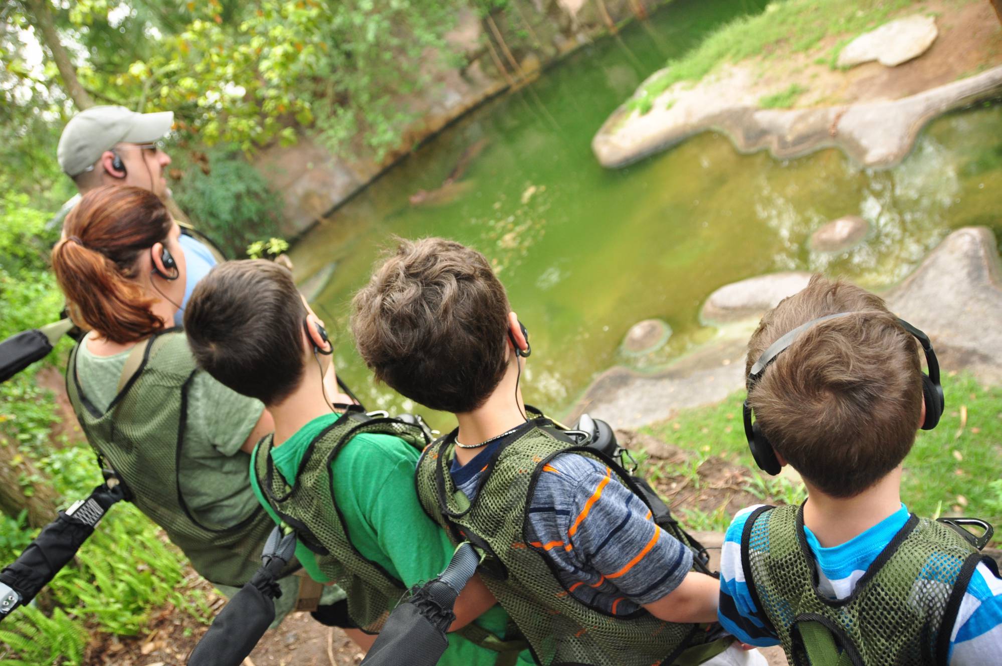 Overlooking the Hippo Pond