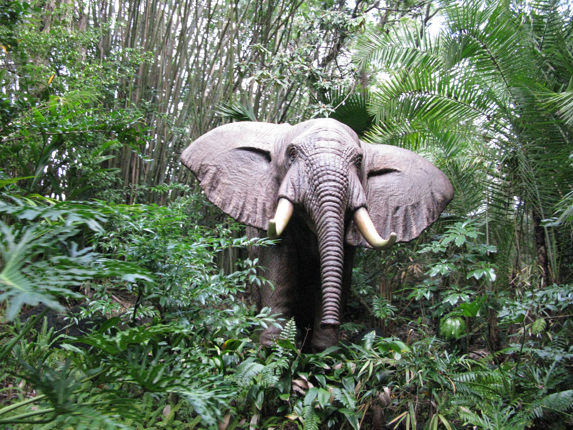 Jungle Cruise - African Elephant