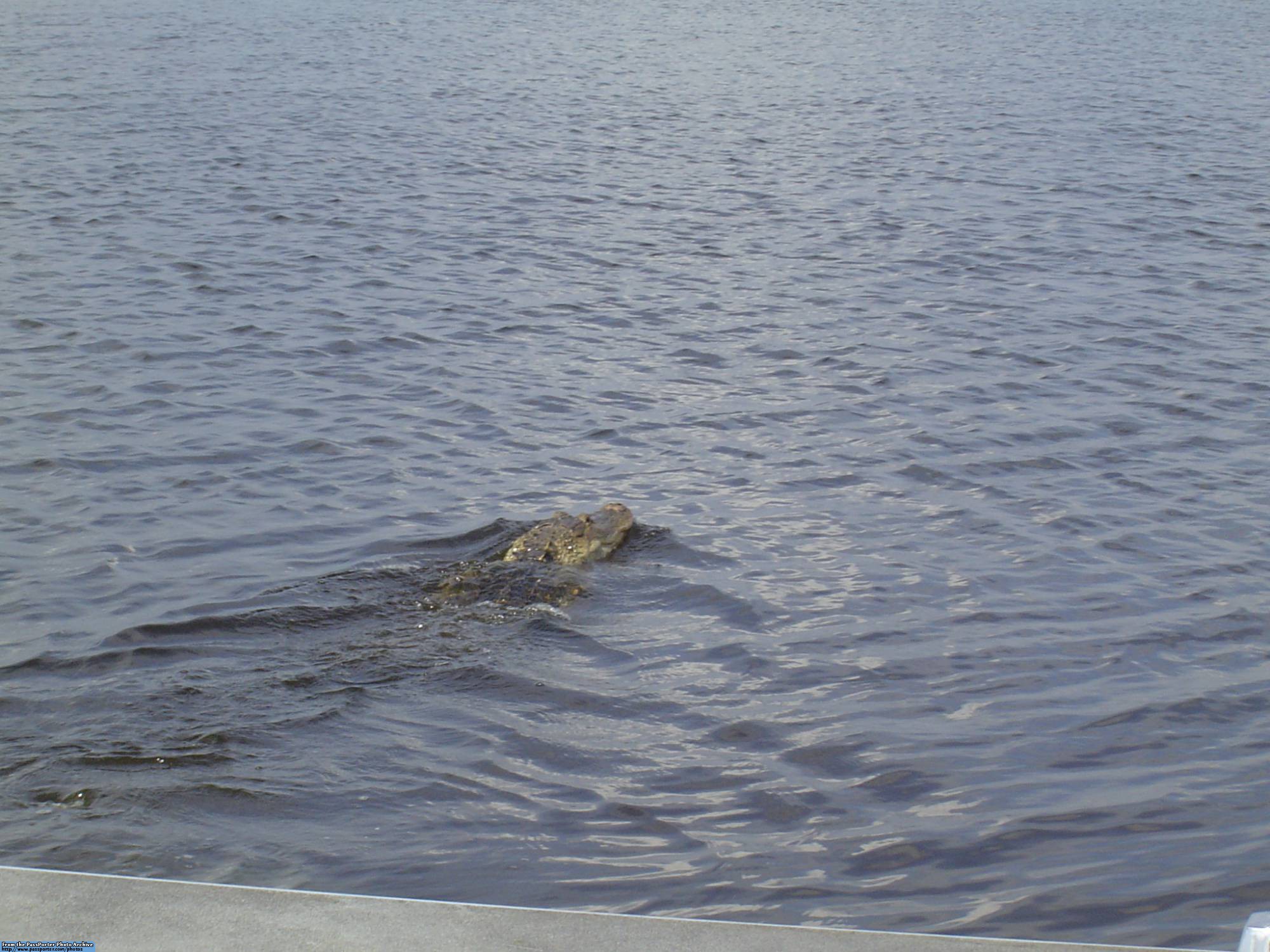 Boggy Creek Airboat Rides