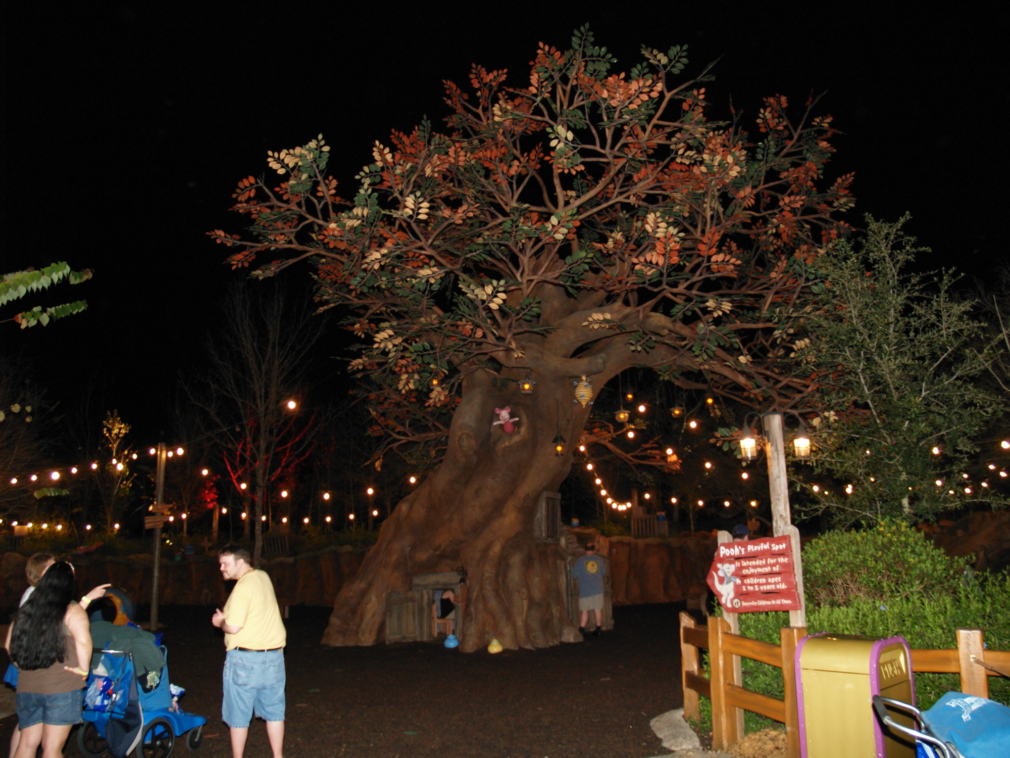 Magic Kingdom - Fantasyland - Pooh's Playful Spot