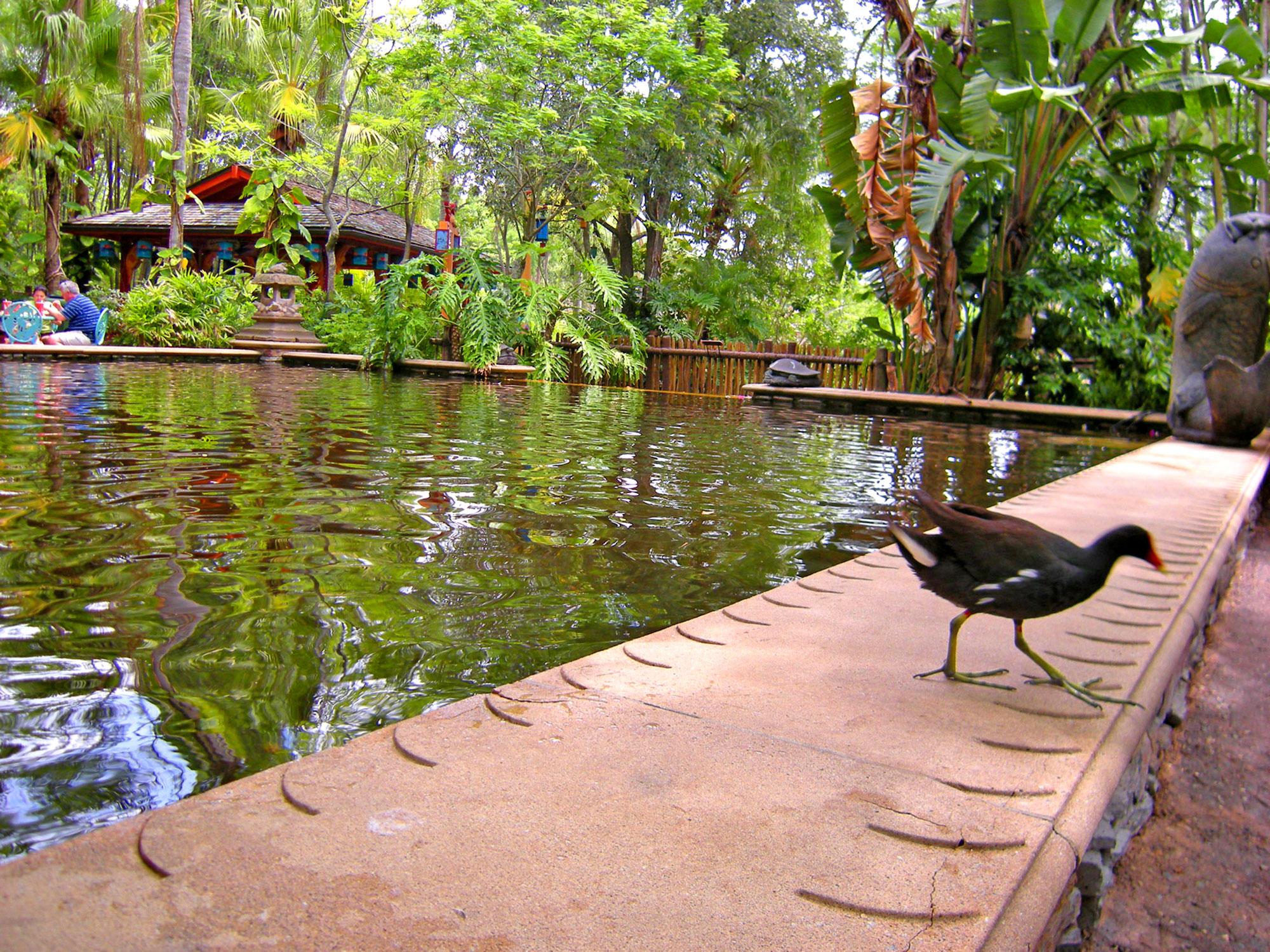 Reflecting Pool at Flame Tree BBQ