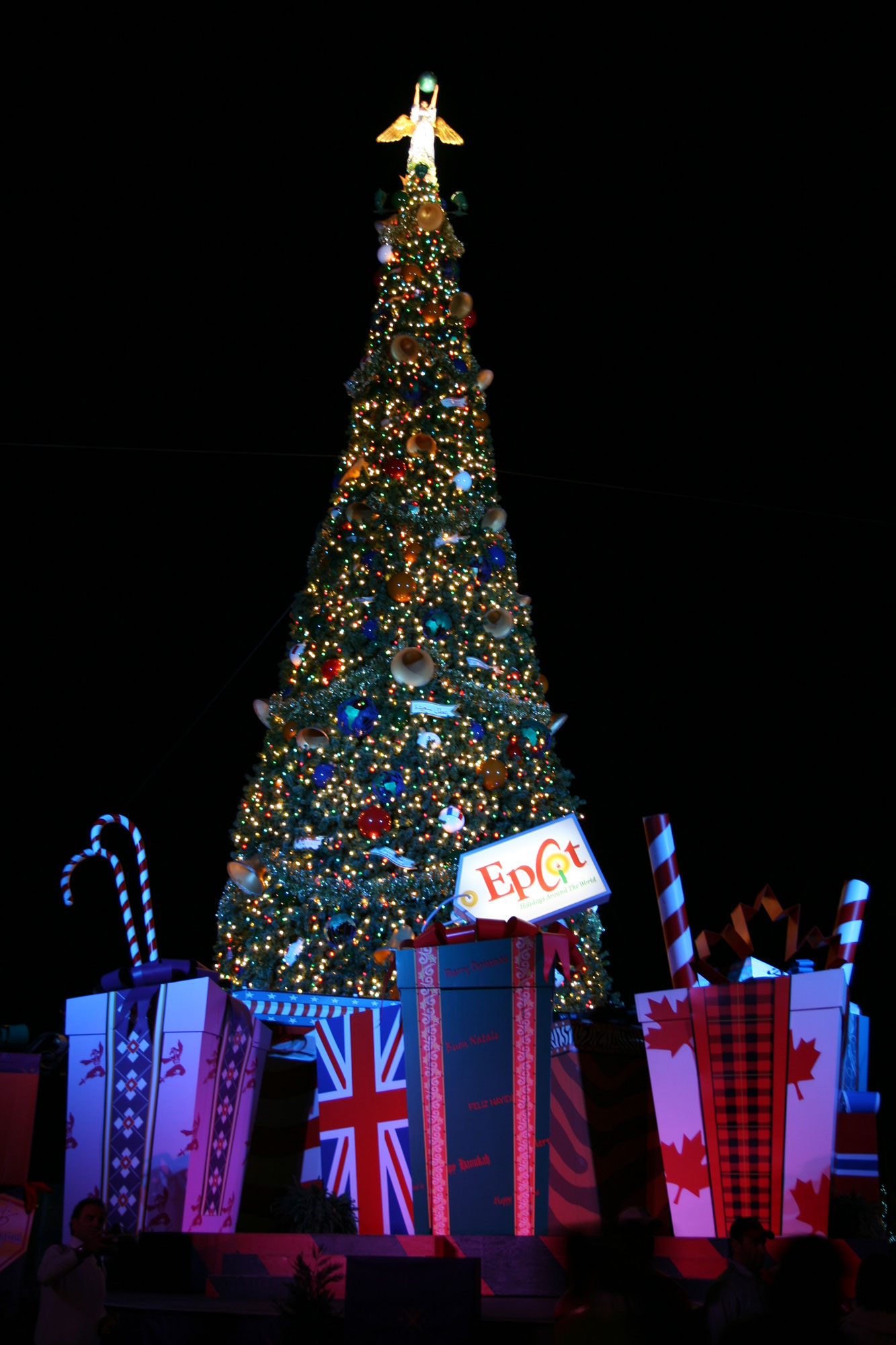 Epcot Christmas Tree