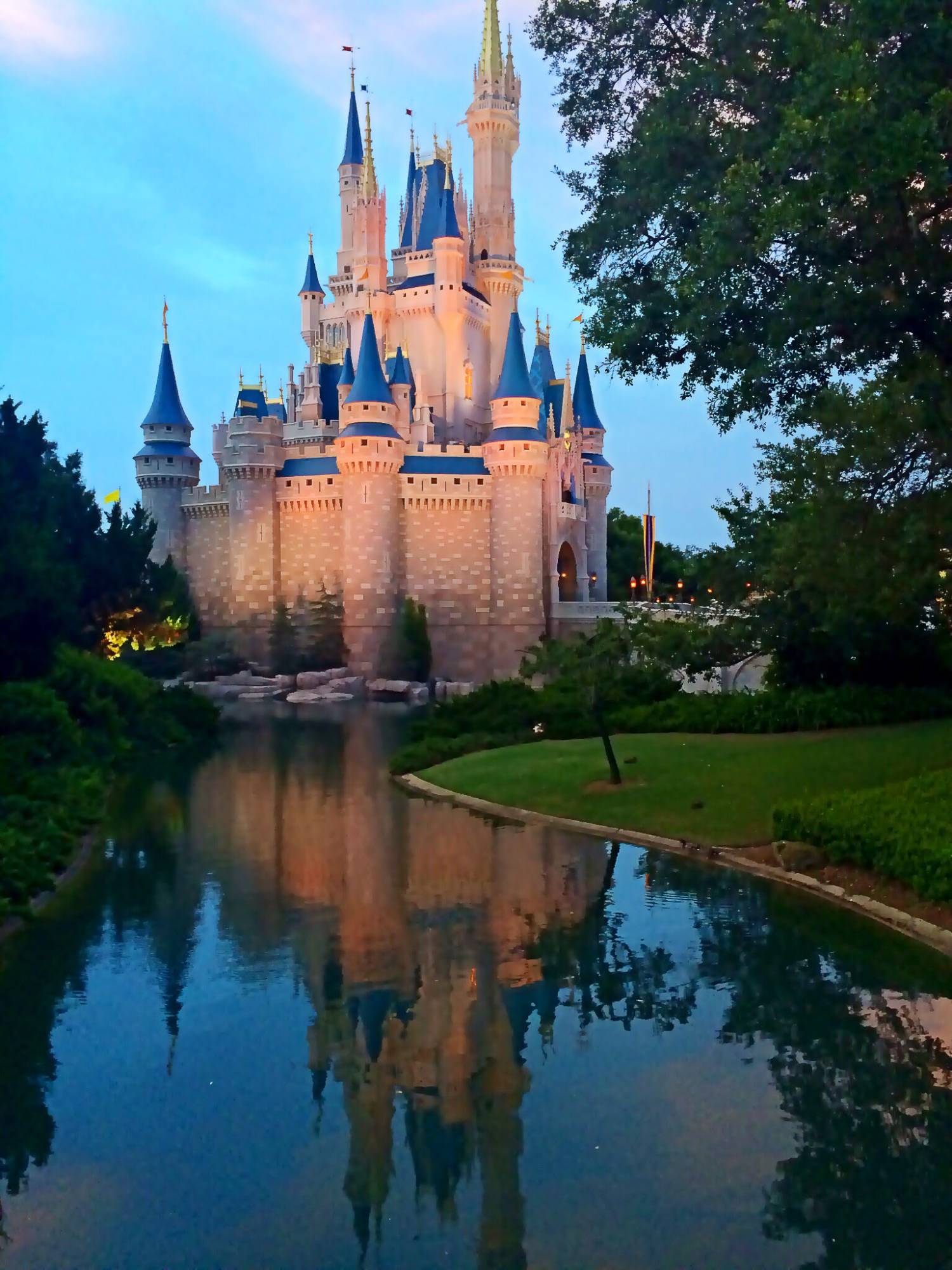 Cinderella Castle Reflection