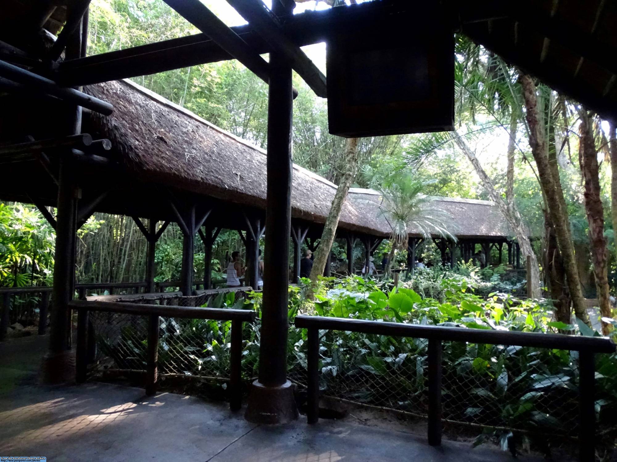 Kilimanjaro Safaris - queue area