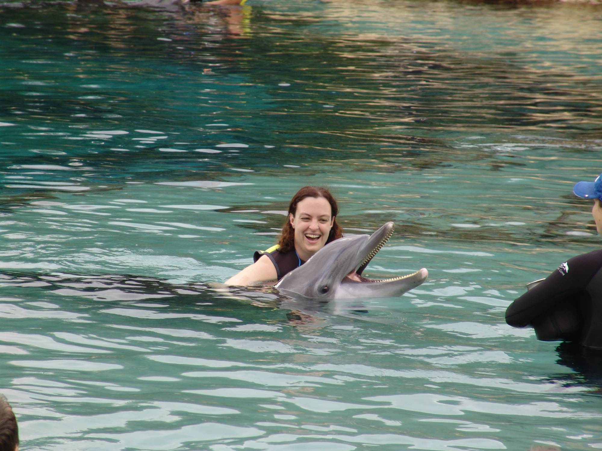 Discovery Cove - dolphin swim