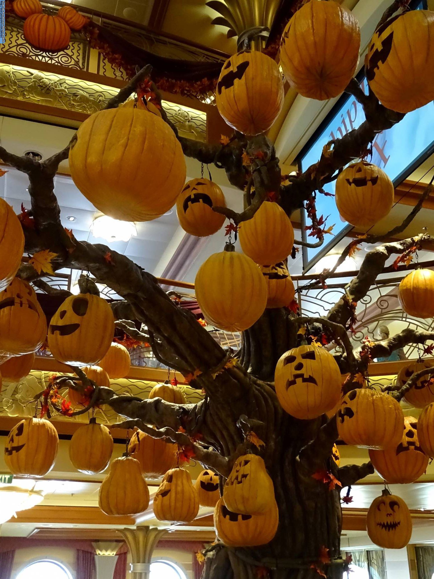 Pumpkin tree