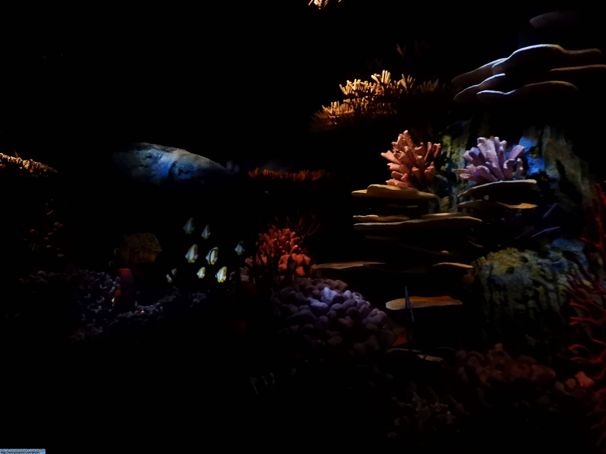 The Seas with Nemo and Friends