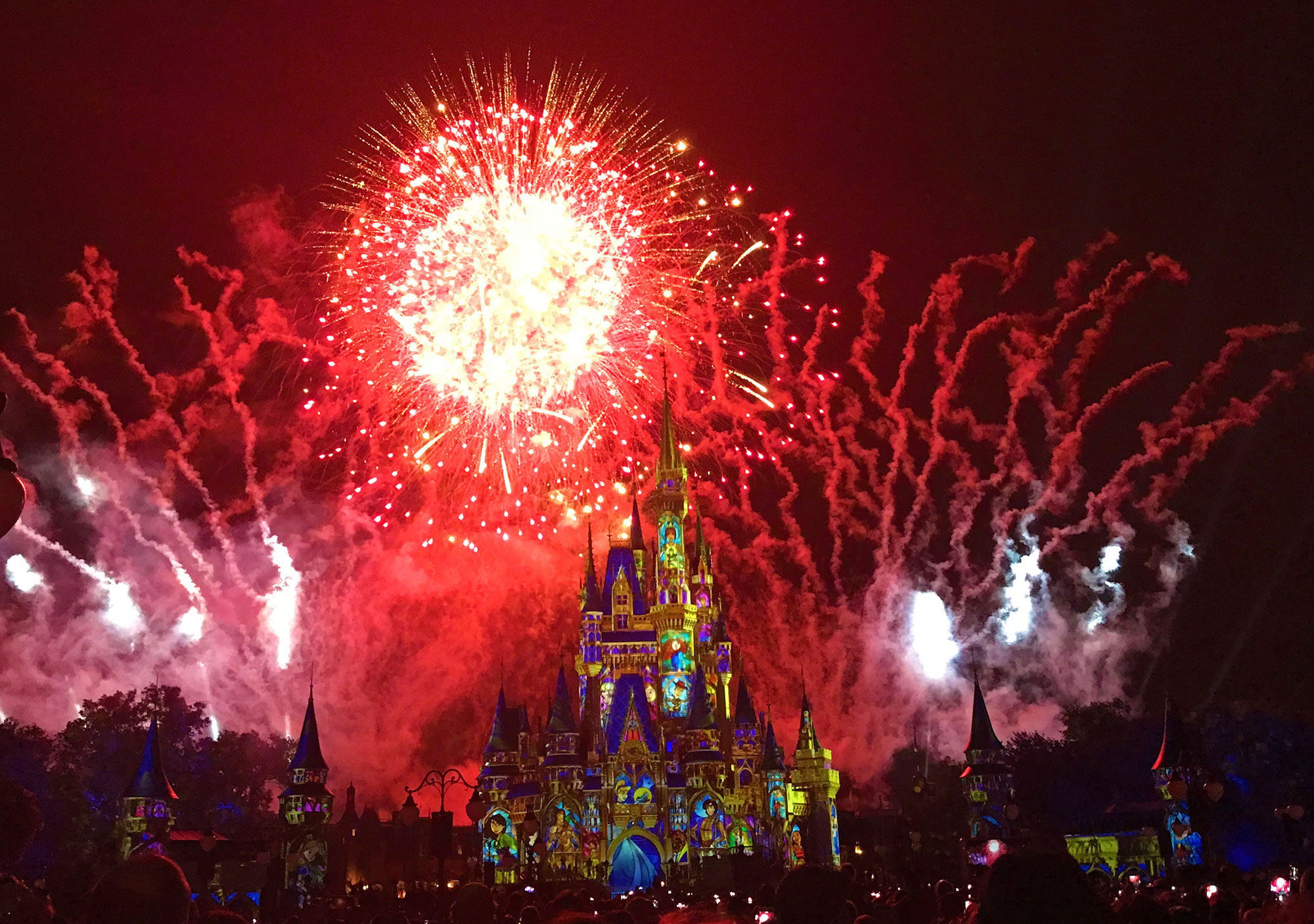 Happily Ever After Fireworks Show at the Magic Kingdom