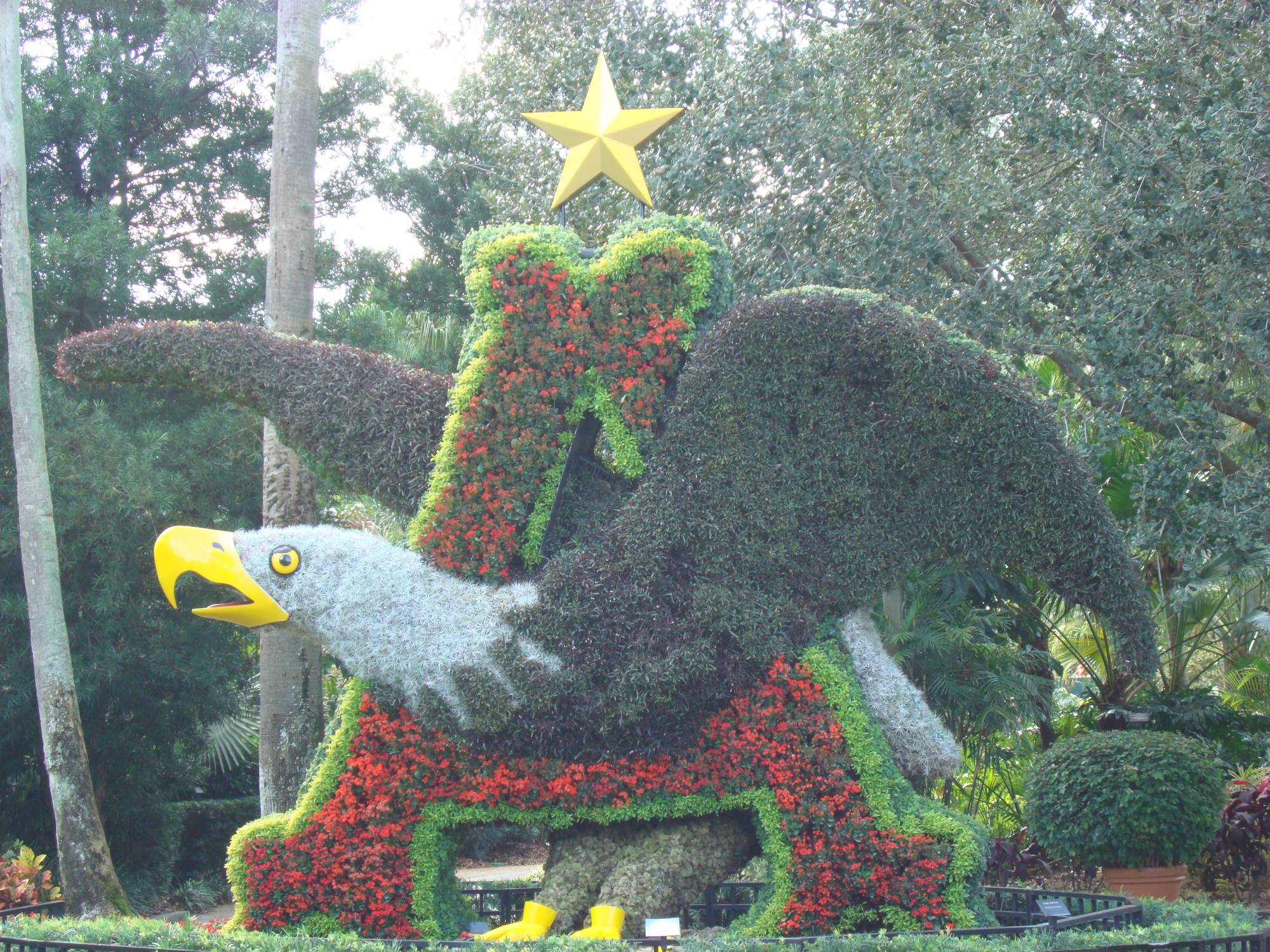 Busch Gardens Tampa - topiaries