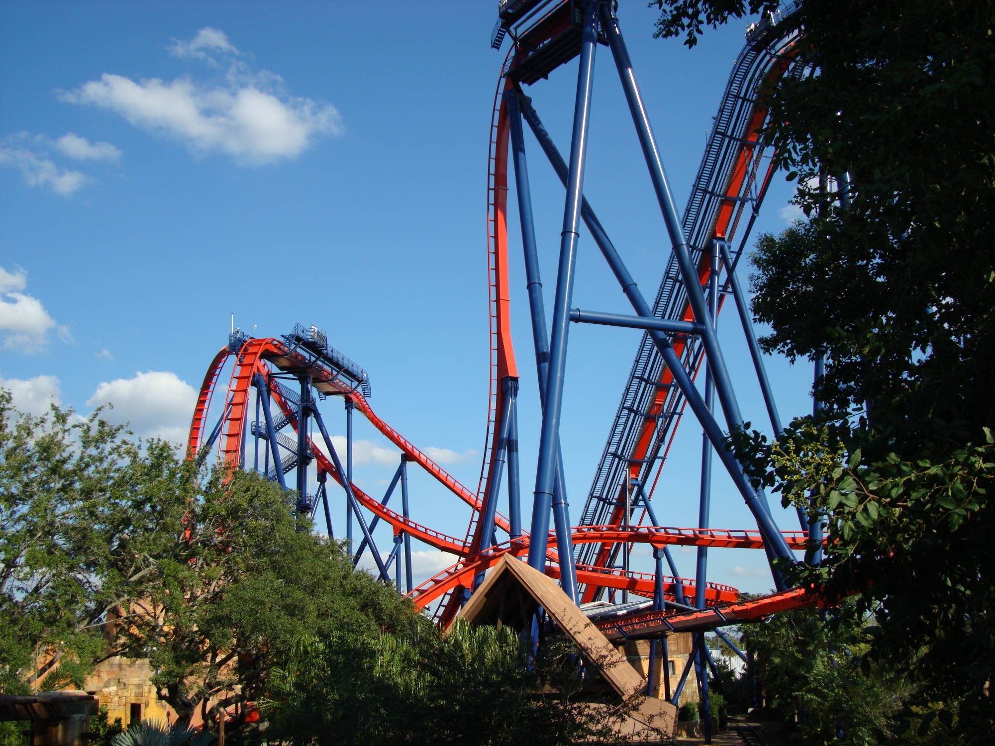 Busch Gardens Tampa - SheiKra