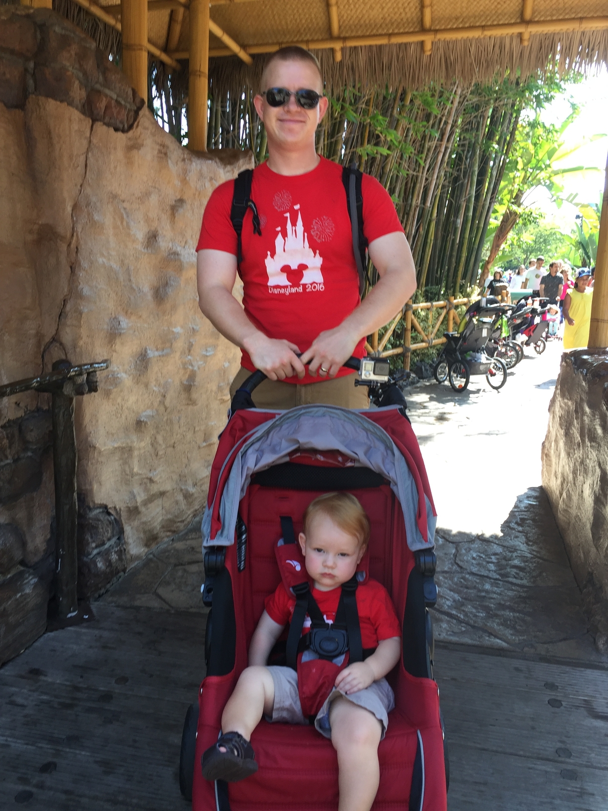disneyland with a toddler