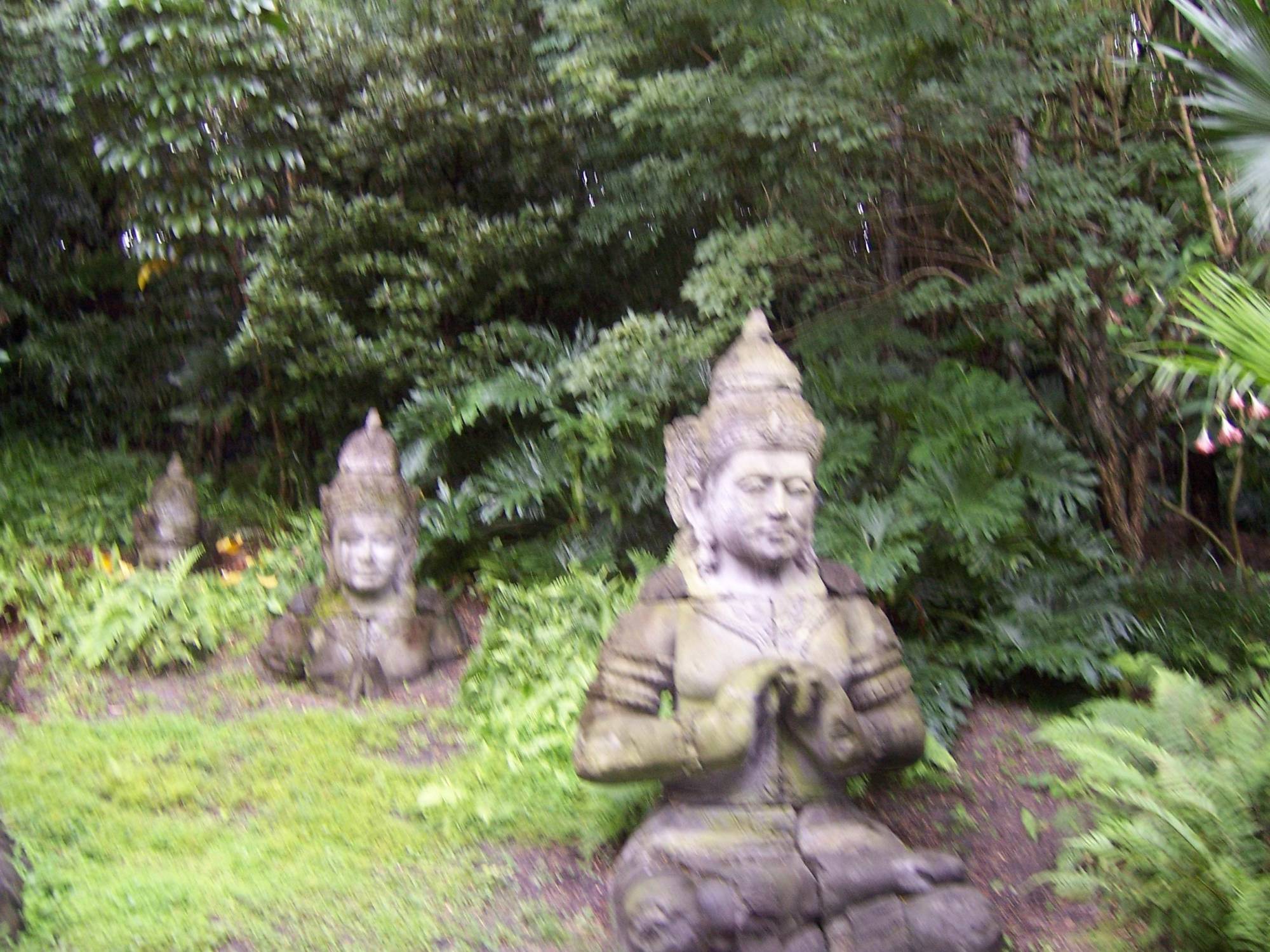 Animal Kingdom Asia Buddha Statues