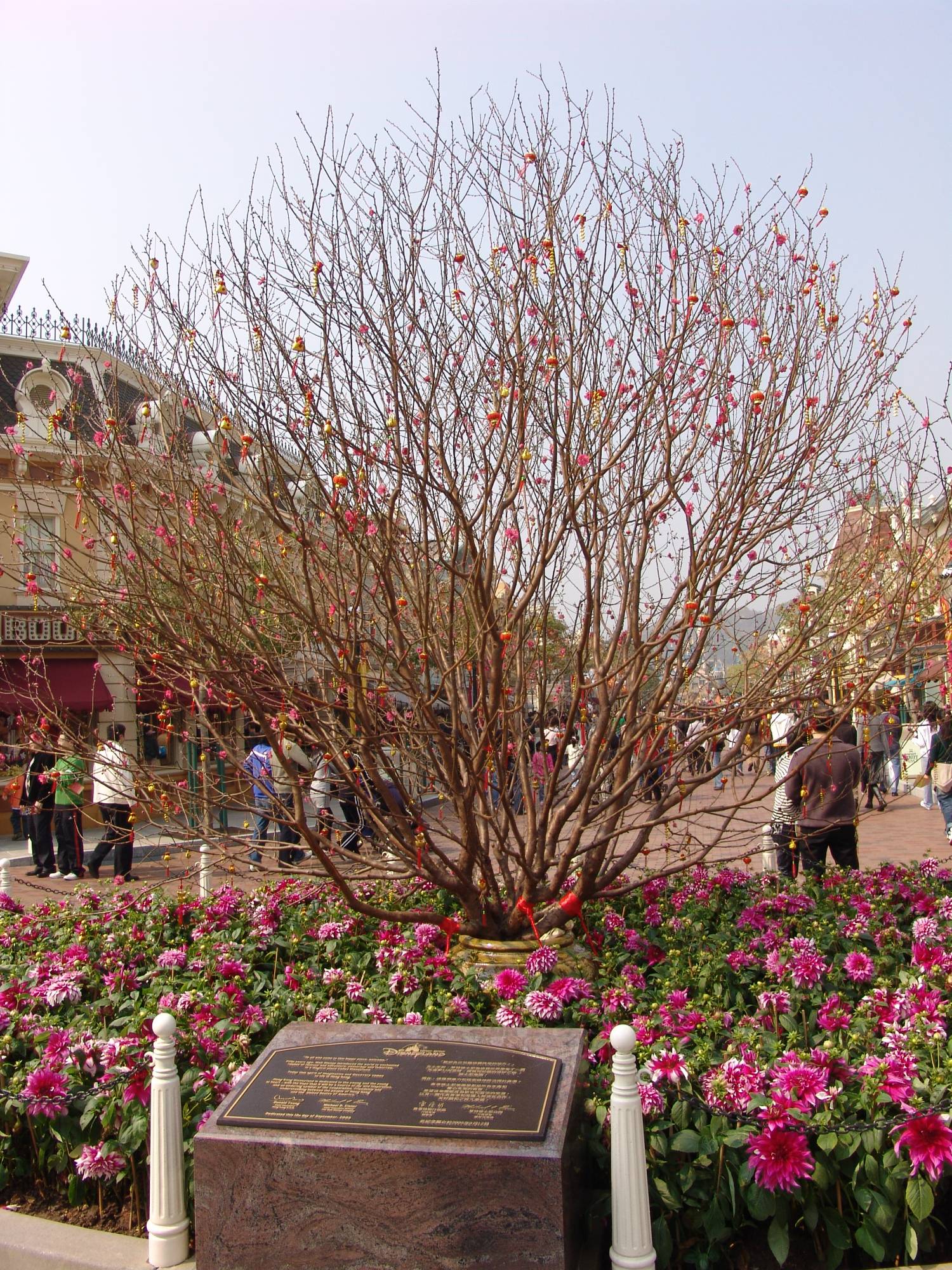 Hong Kong Disneyland - Chinese New Year decorations