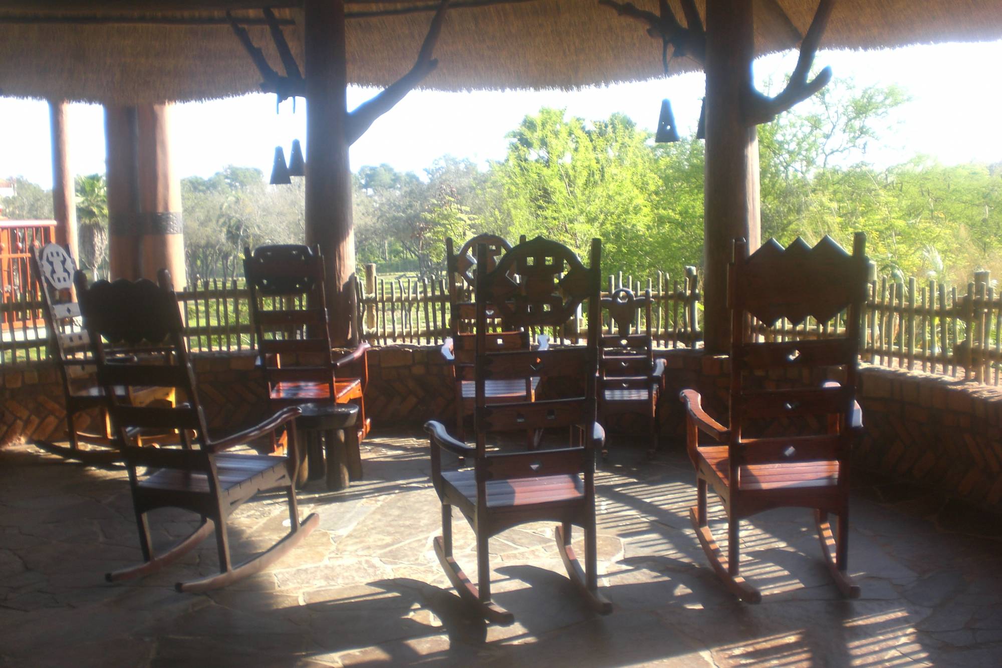 Animal Kingdom Lodge - savannah view area