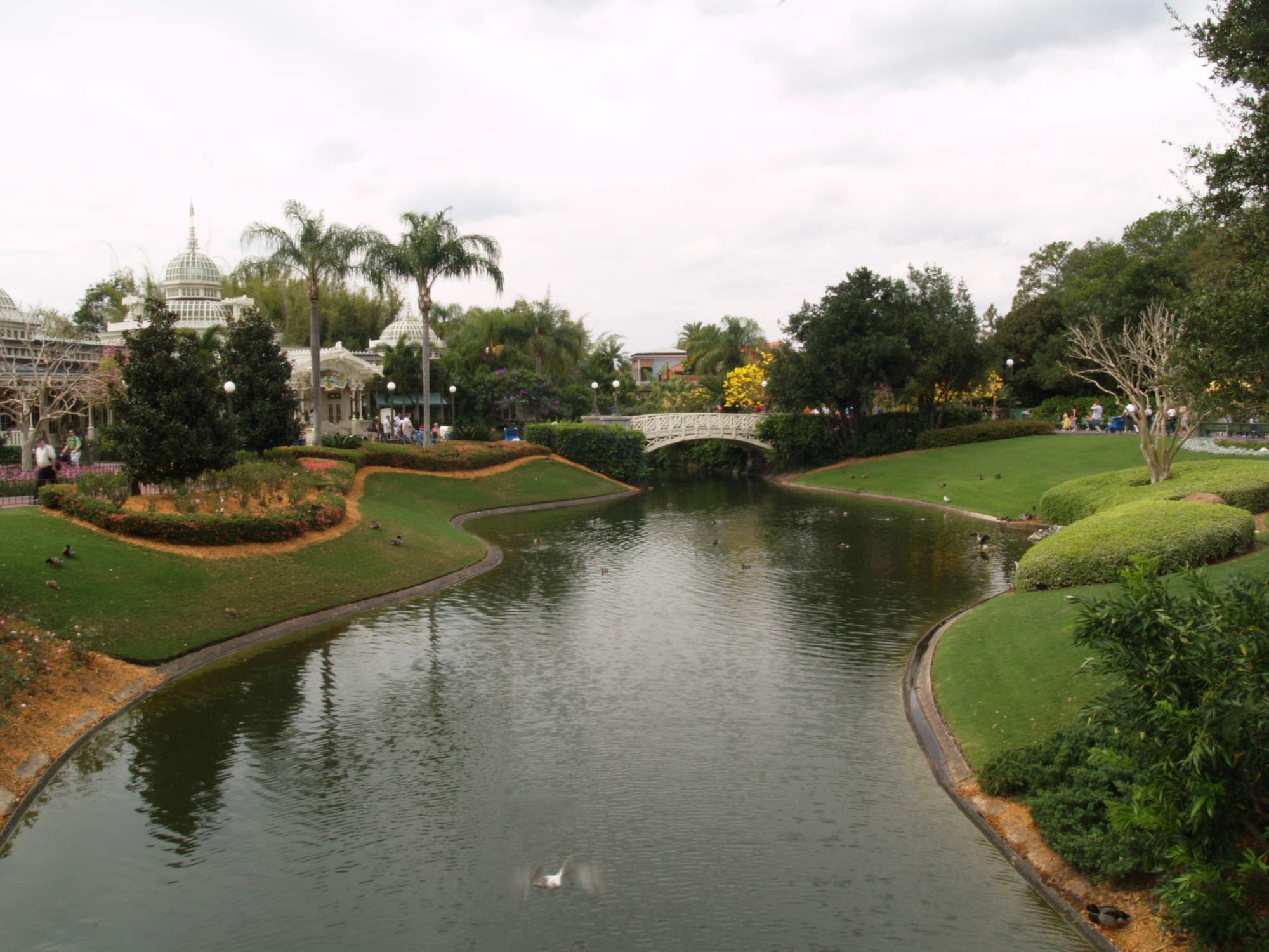 Magic Kingdom - Landscape