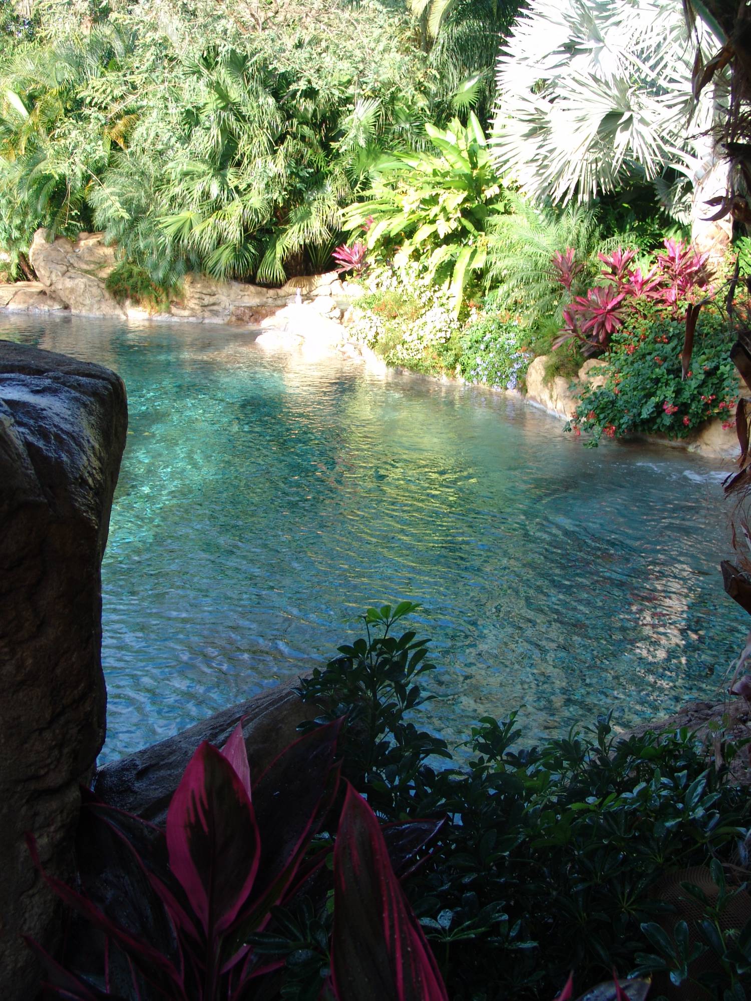 Discovery Cove - Tropical River