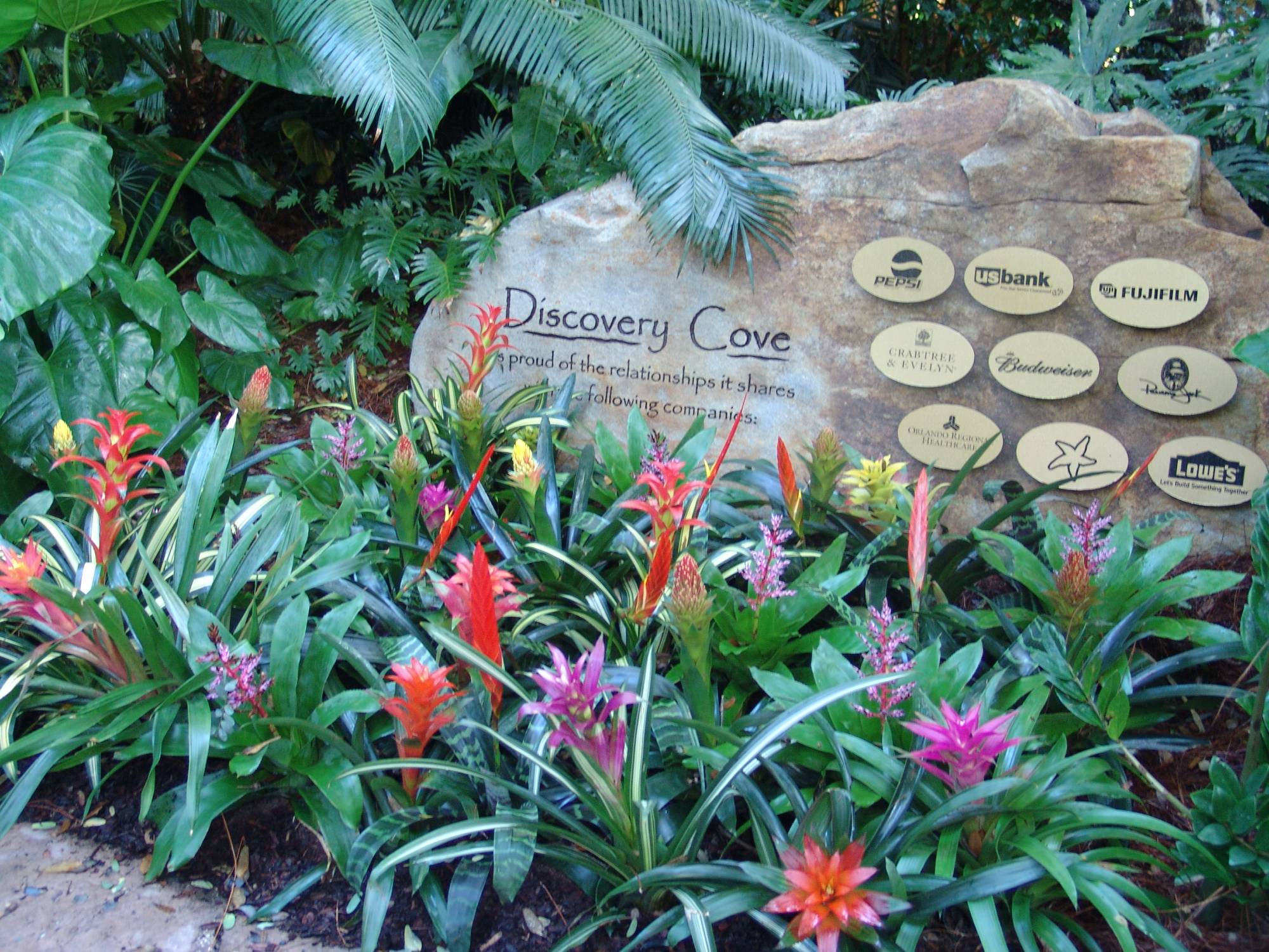 Discovery Cove - entrance sign