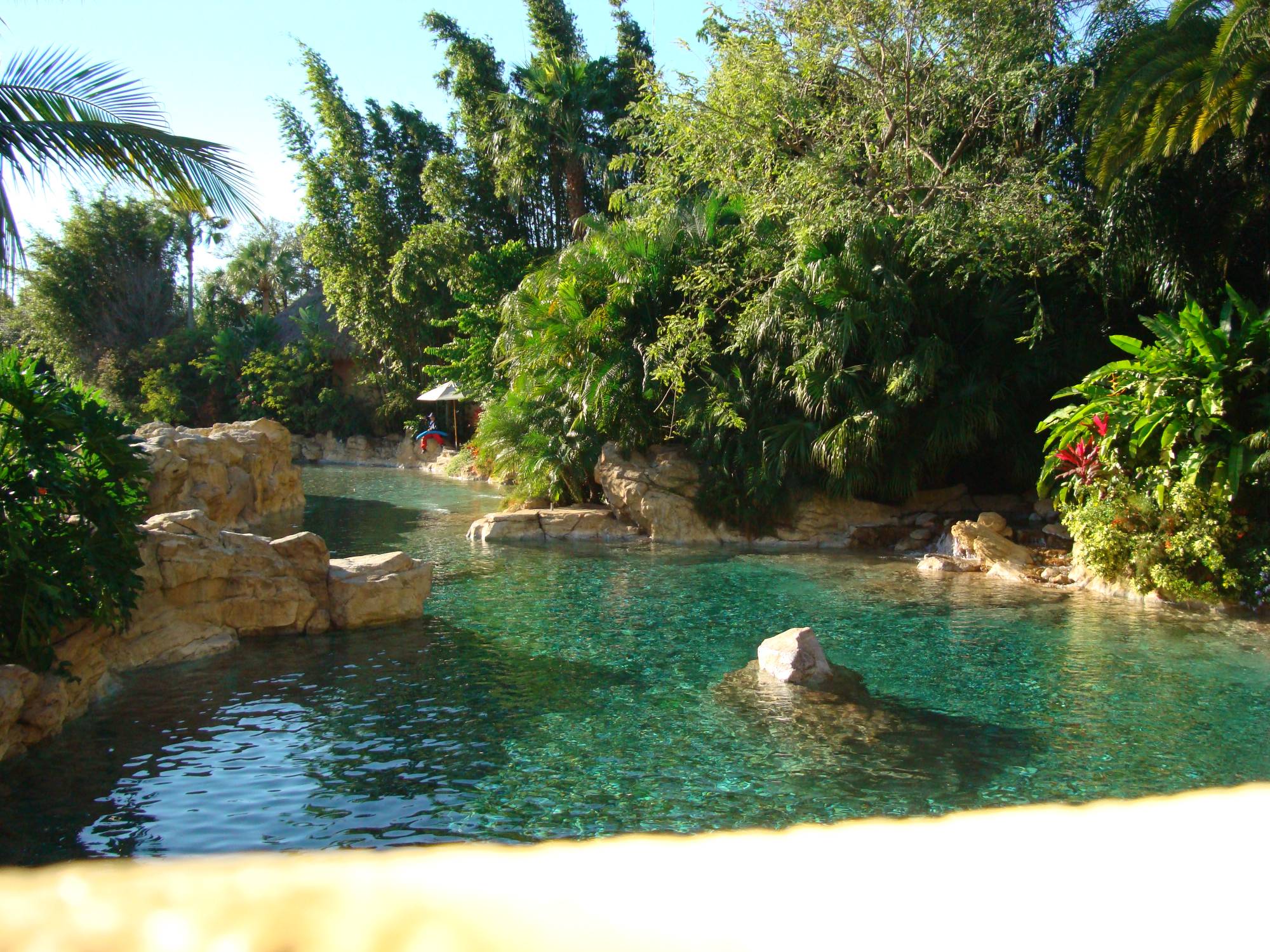 Discovery Cove - Tropical River