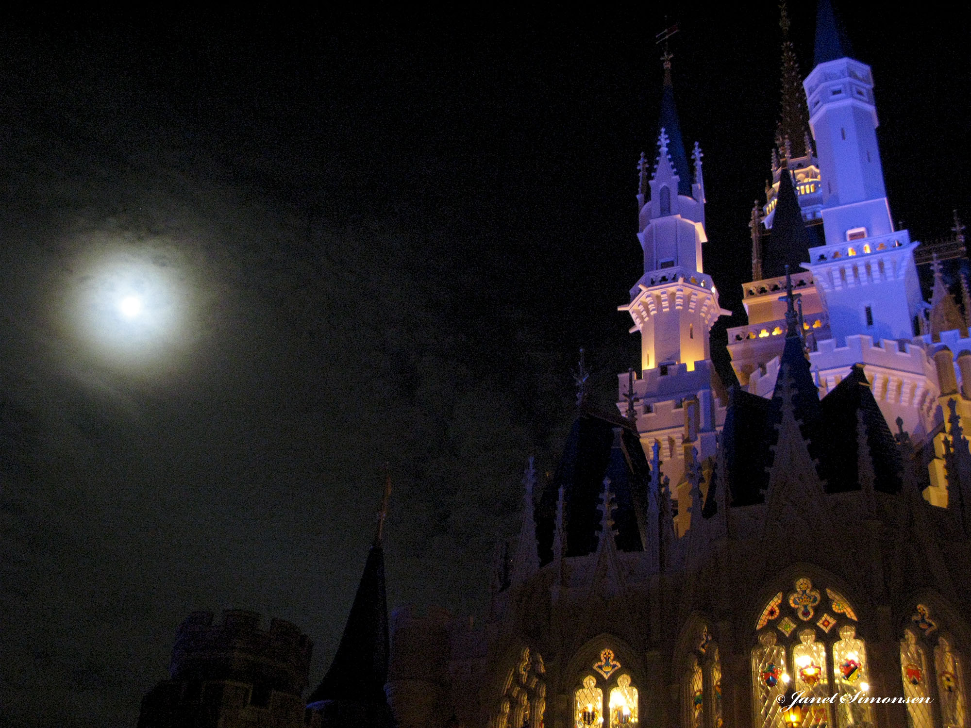 Magic Kingdom - Castle