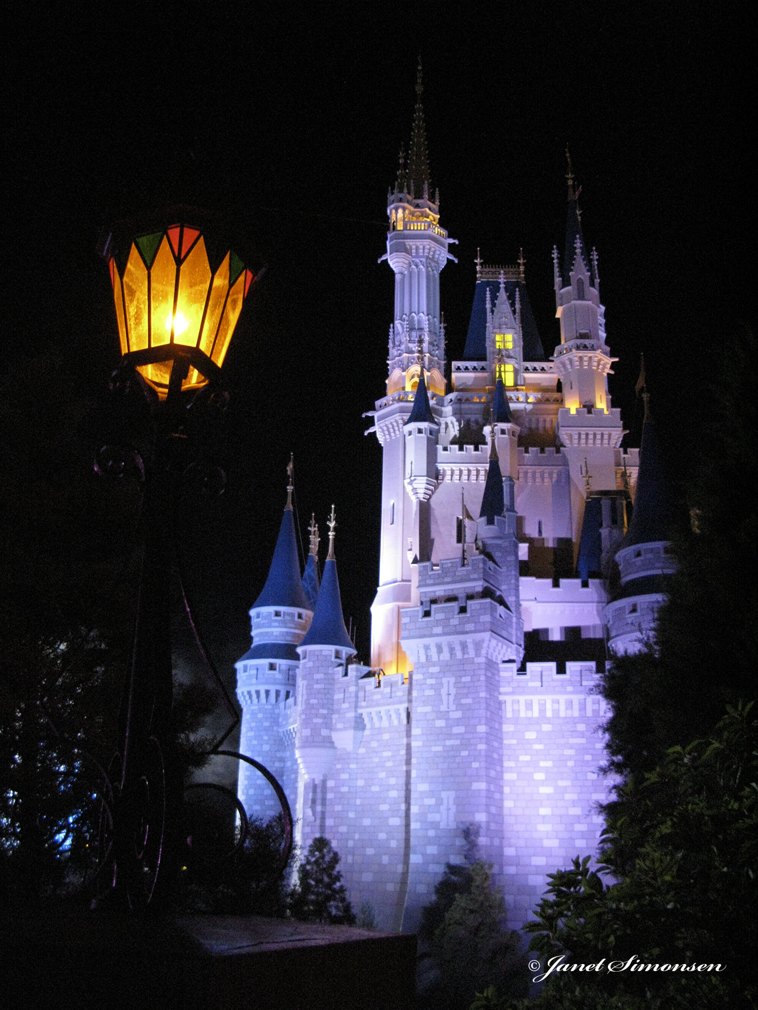 Magic Kingdom - Castle