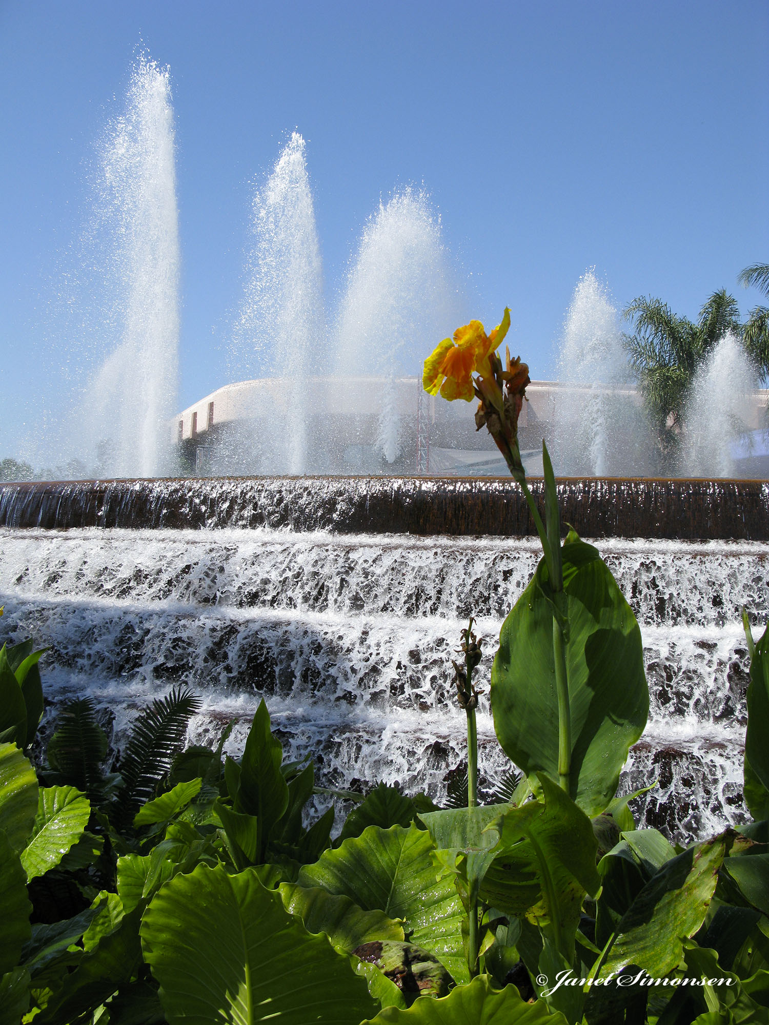 Epcot - Fountain of nations