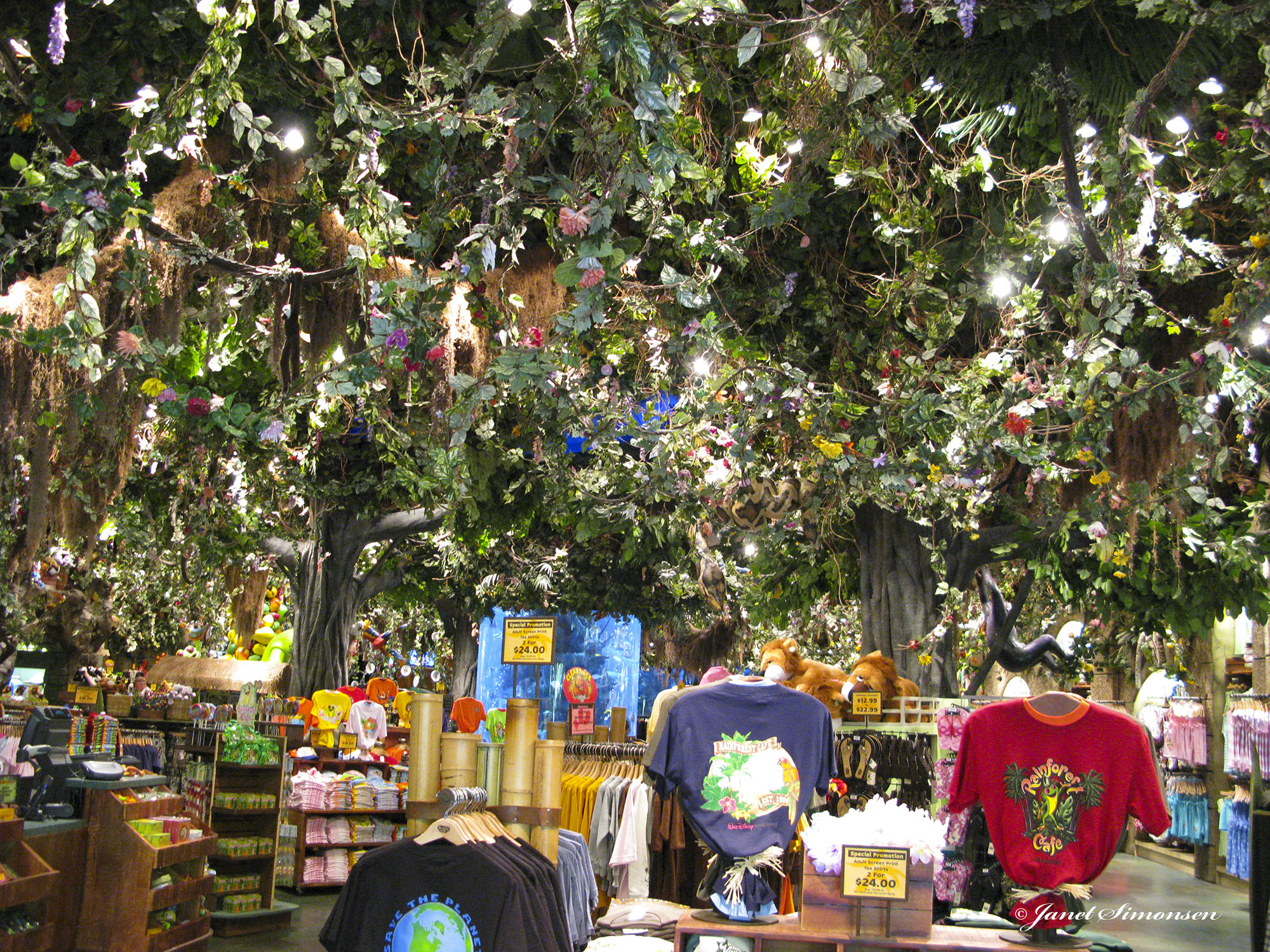 Animal Kingdom - Rainforest Cafe