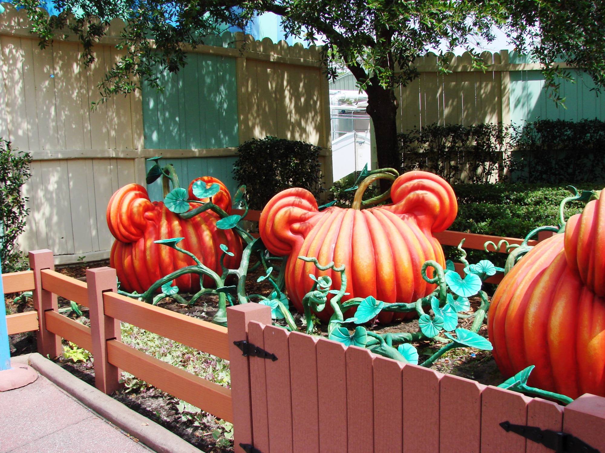 Magic Kingdom - Toontown - Mickey's House