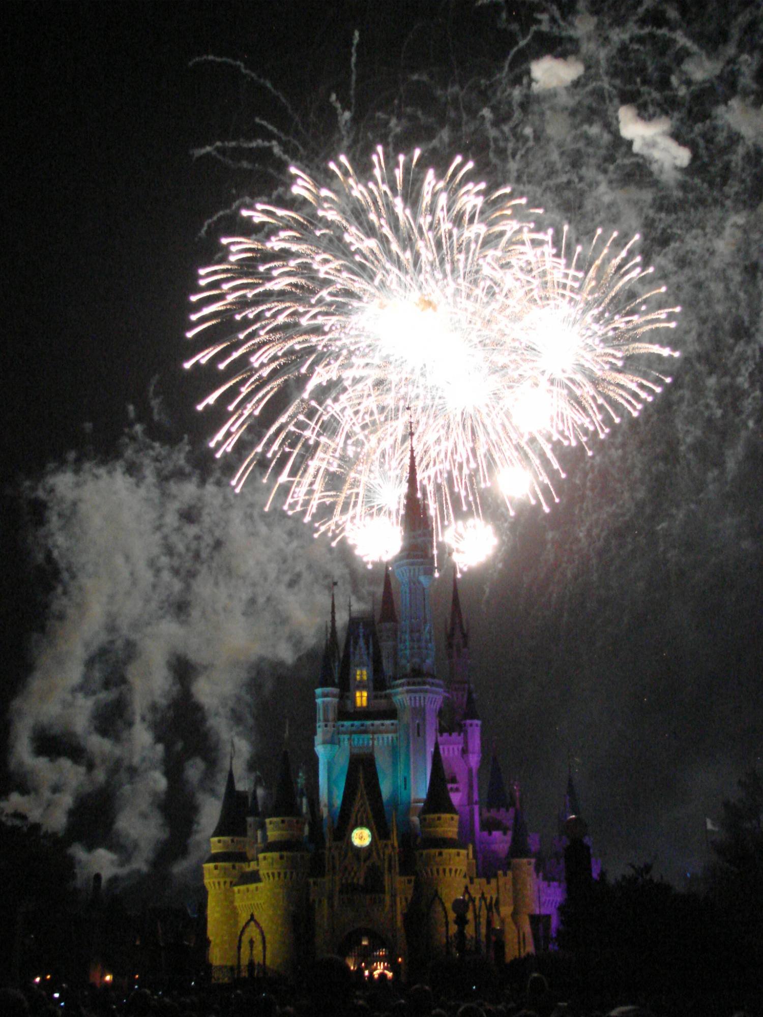 Magic Kingdom - Wishes