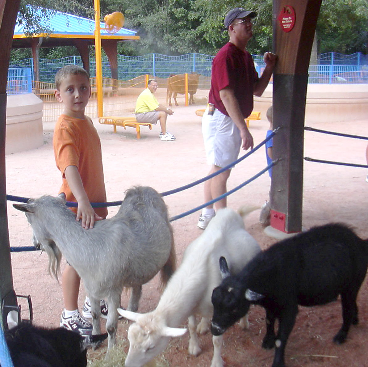 Petting Zoo