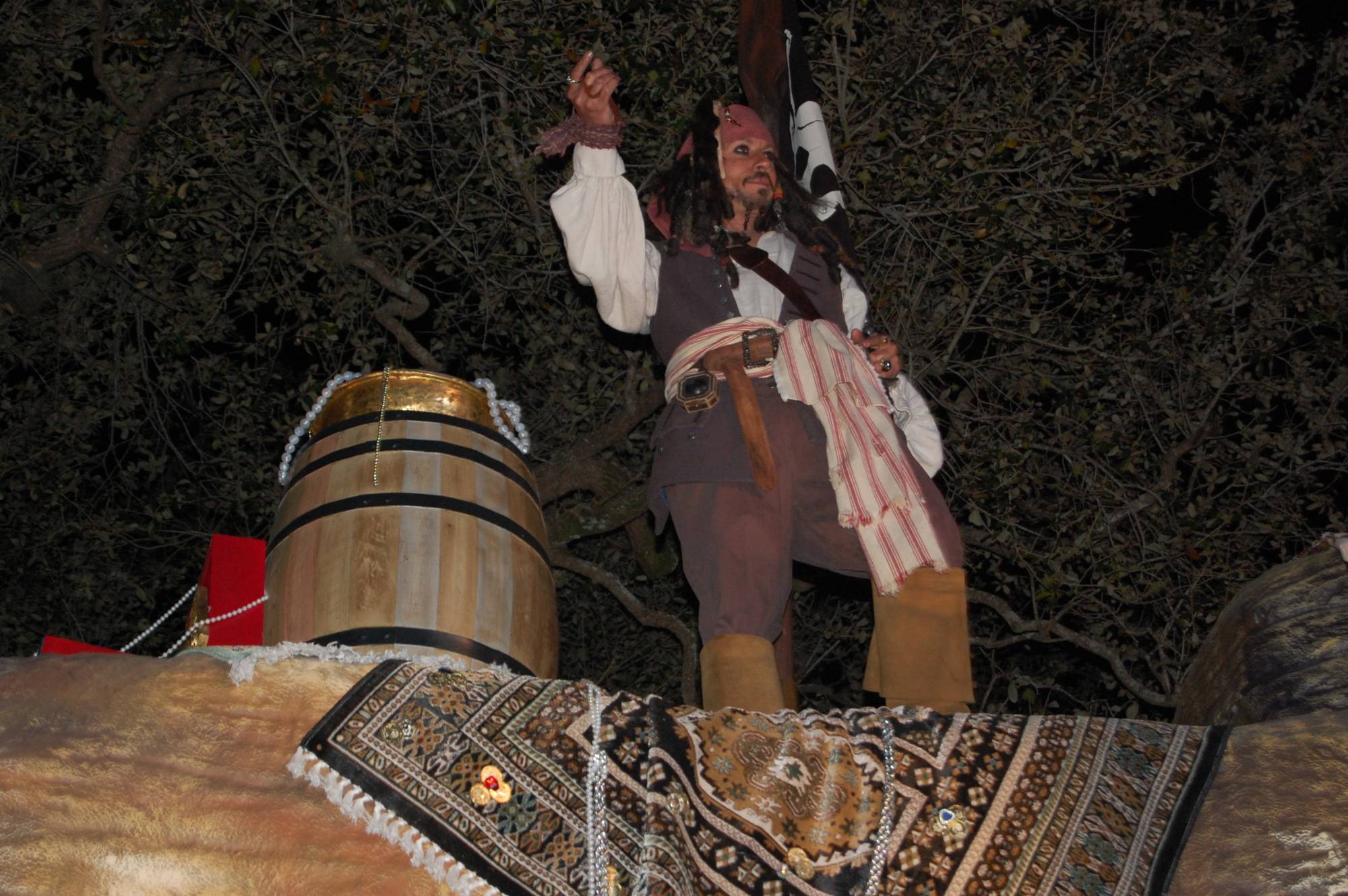 MK: Pirate and Princess Party: Enchanted Adventures Parade: Capt. Jack Spar