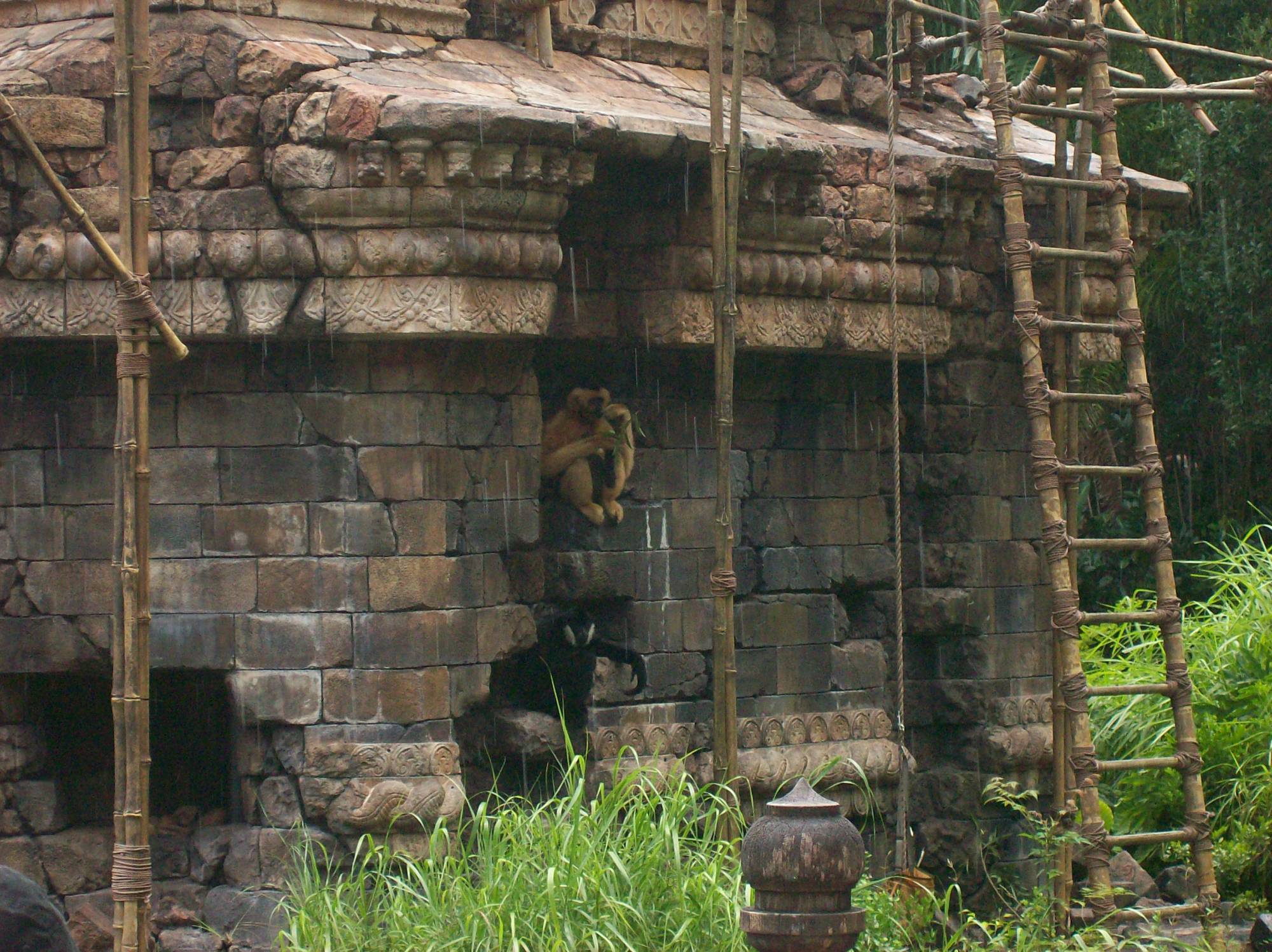 Animal Kingdom- Asia-Monkey Ruins