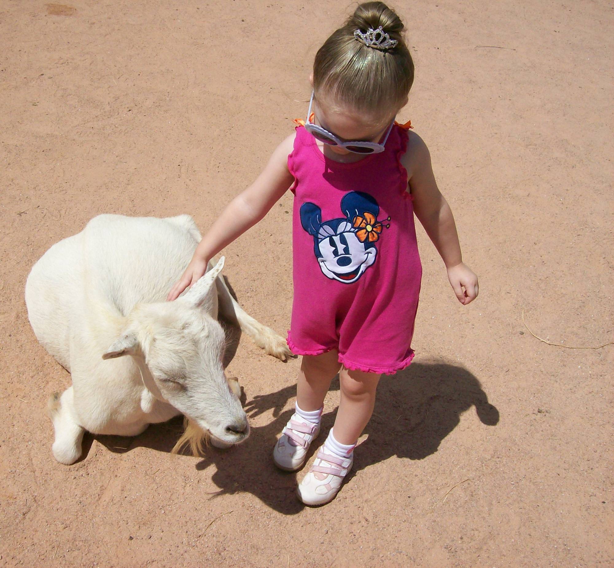 Ainsley pettng a goat at Rafiki's Planet Watch petting zoo