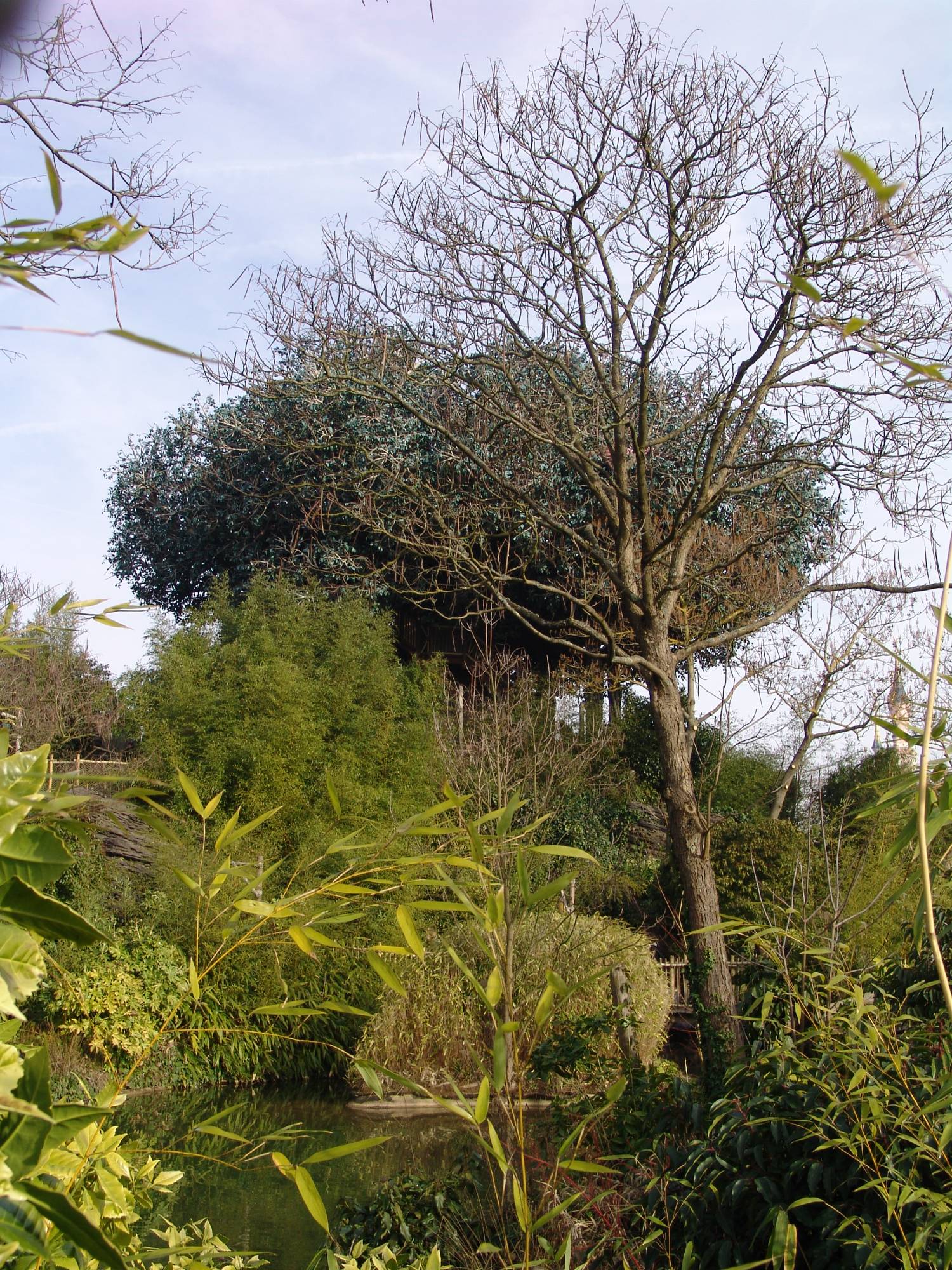 Disneyland Paris - Swiss Family Treehouse