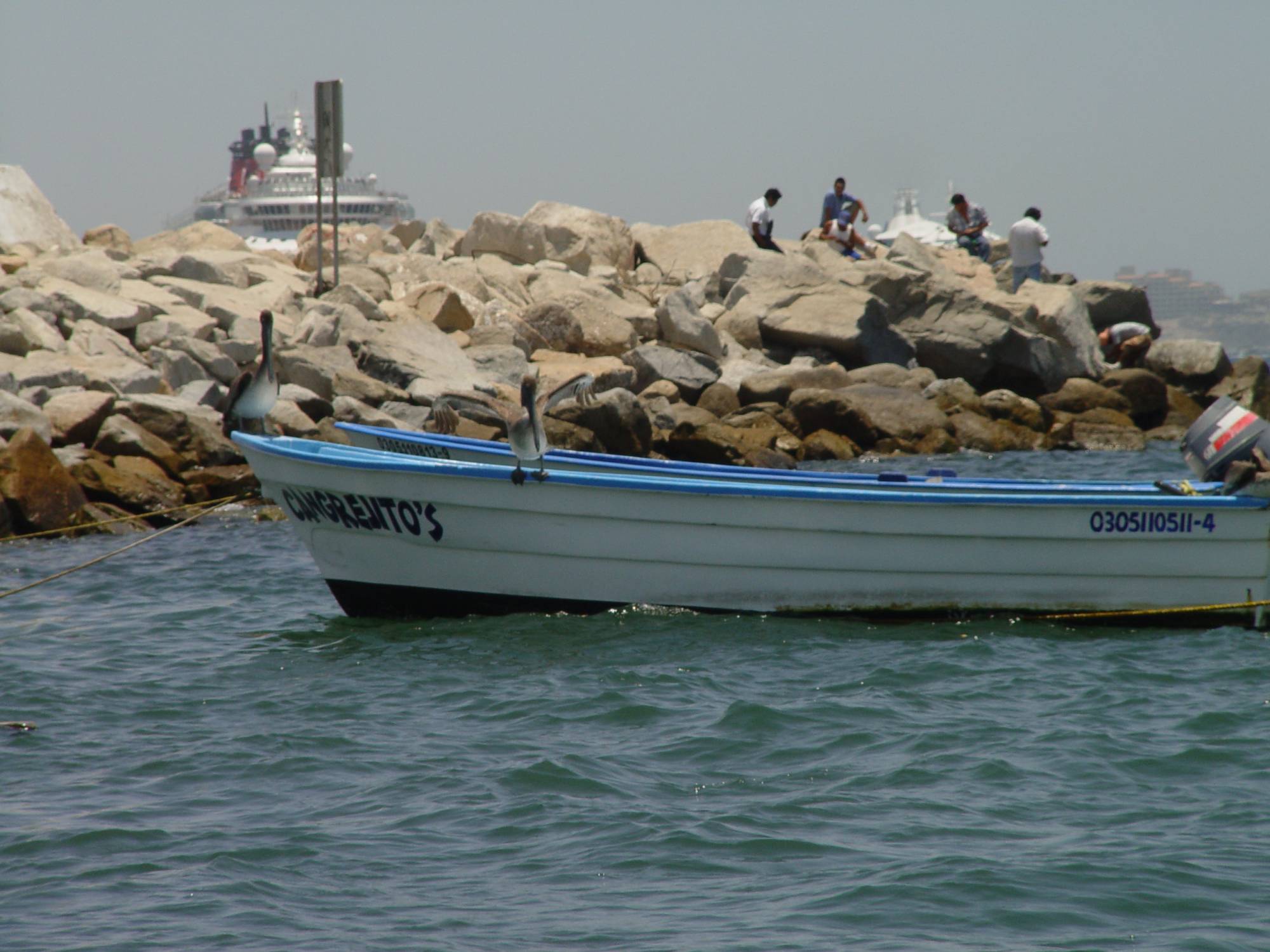 DCL - Magic anchored in Cabo with pelicans