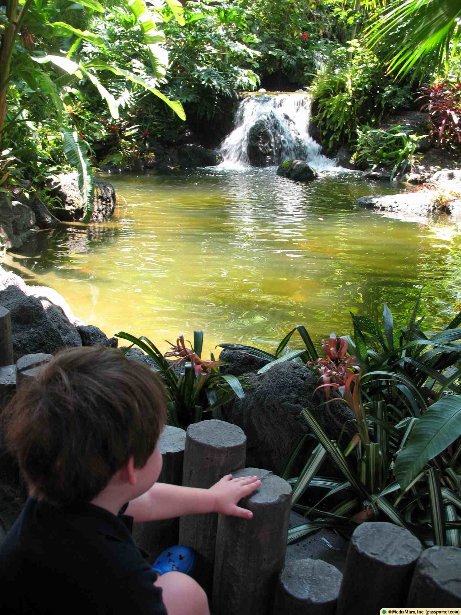 Polynesian - Waterfall