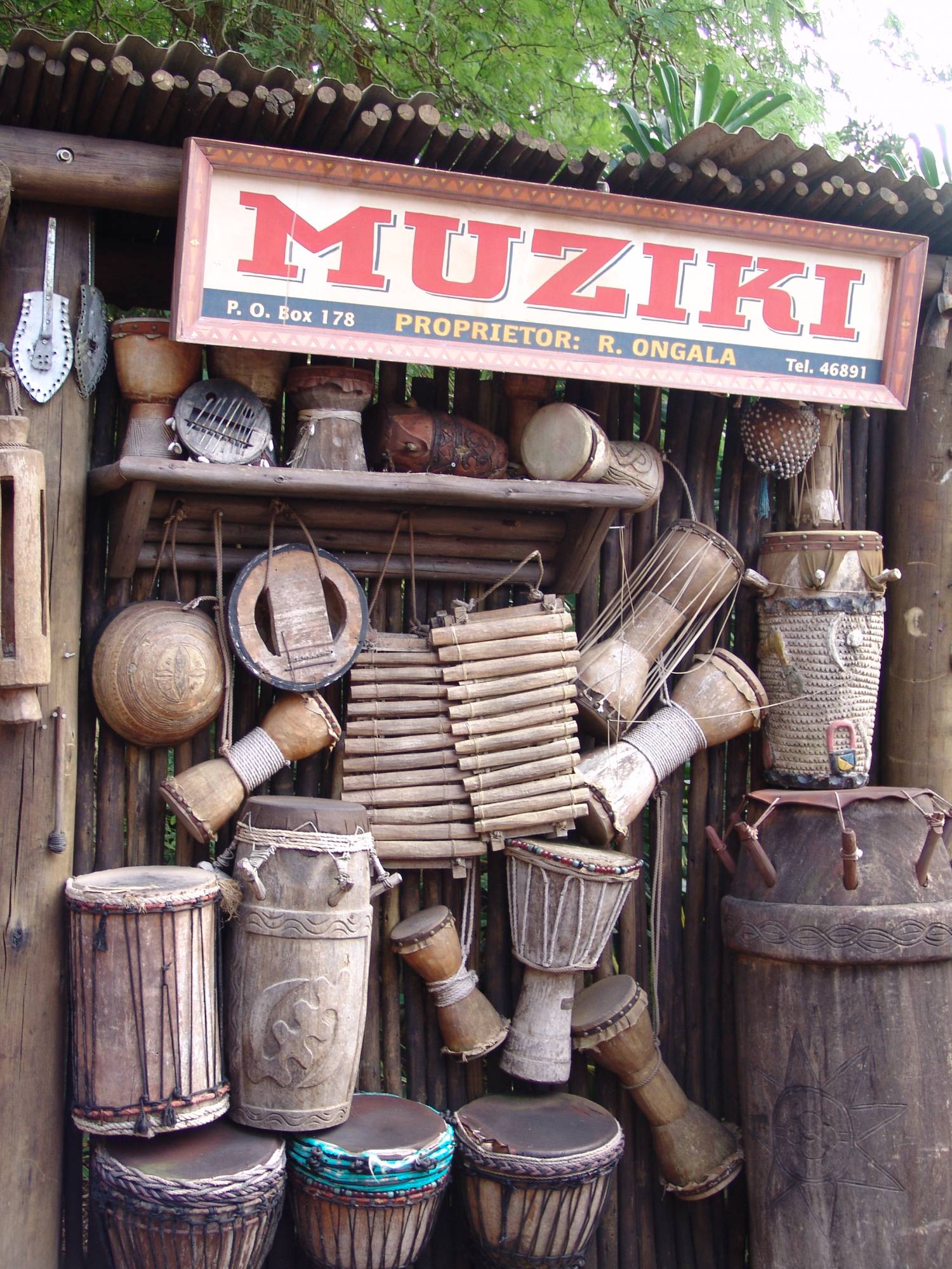 Disney's Animal Kingdom - Muziki