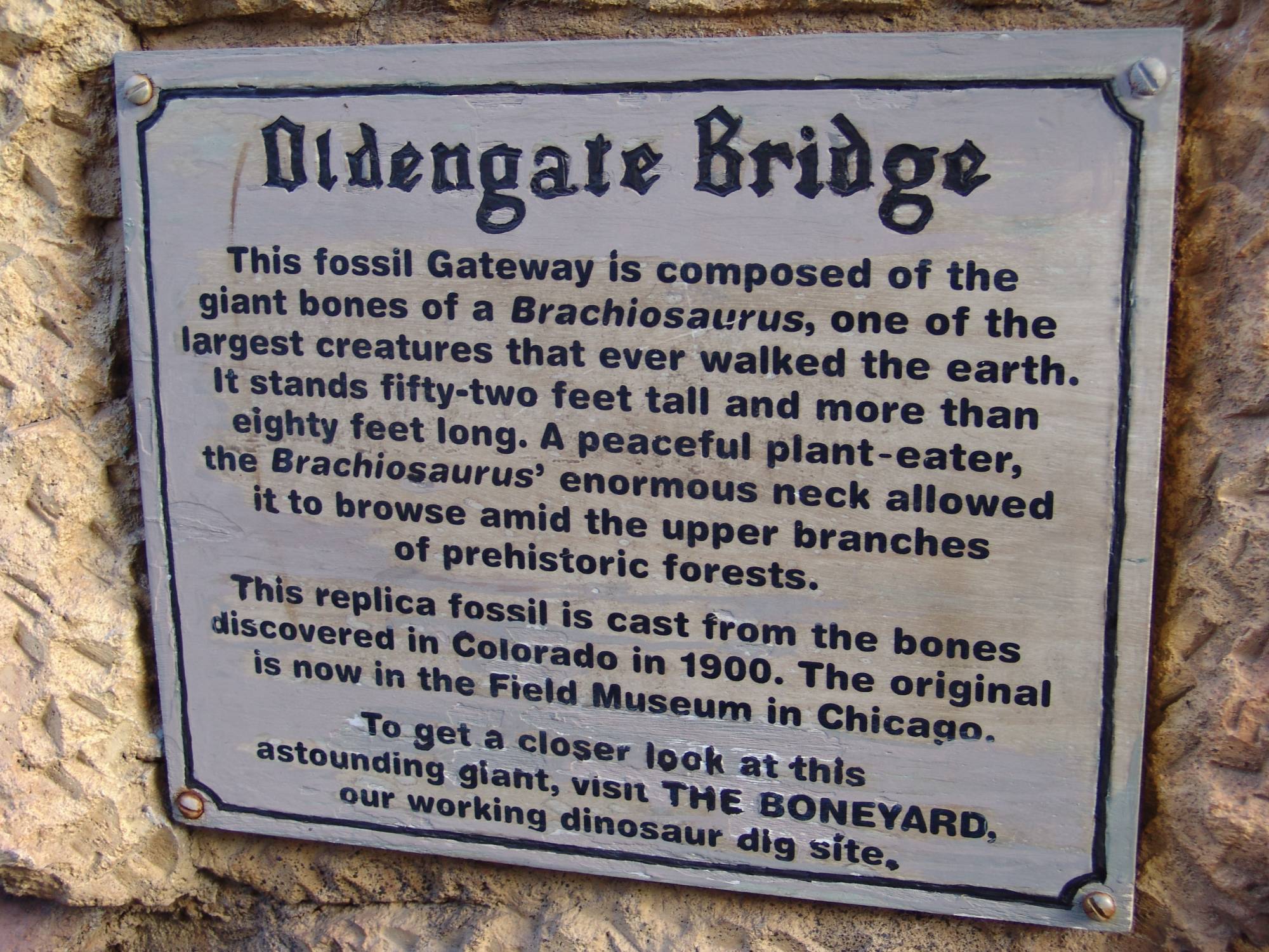 Animal Kingdom - Oldengate Bridge
