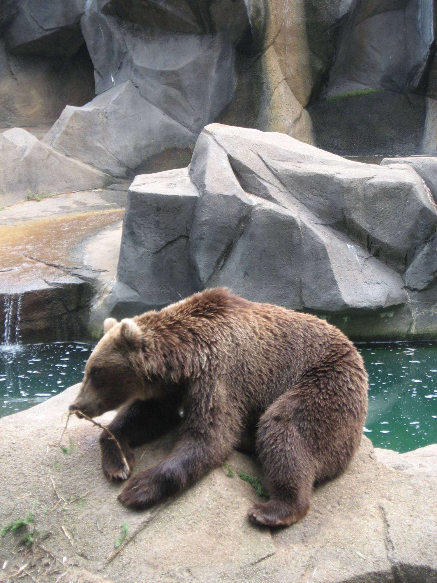 Riverbanks Zoo, Columbia, SC